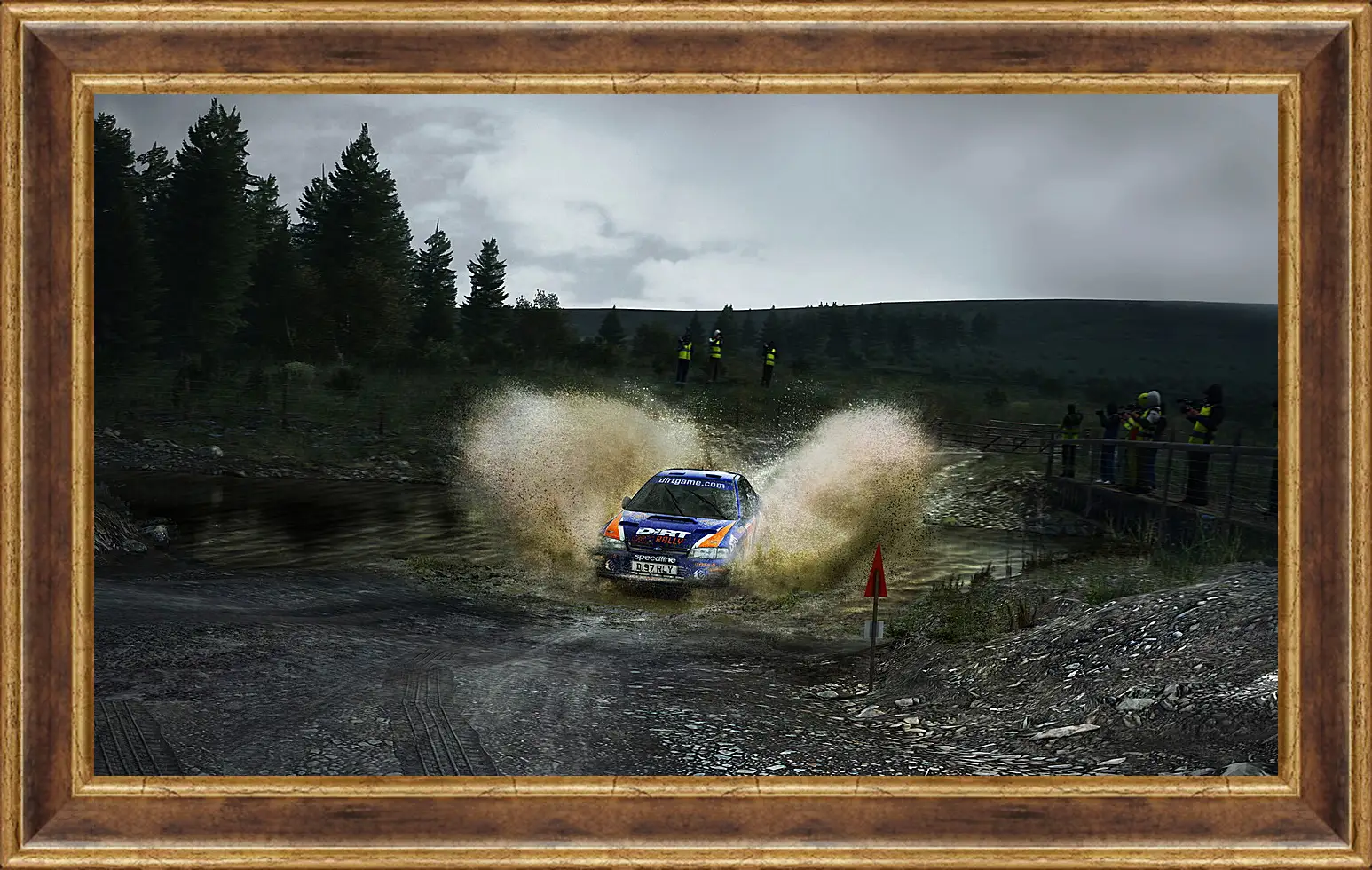 Картина в раме - DiRT Rally
