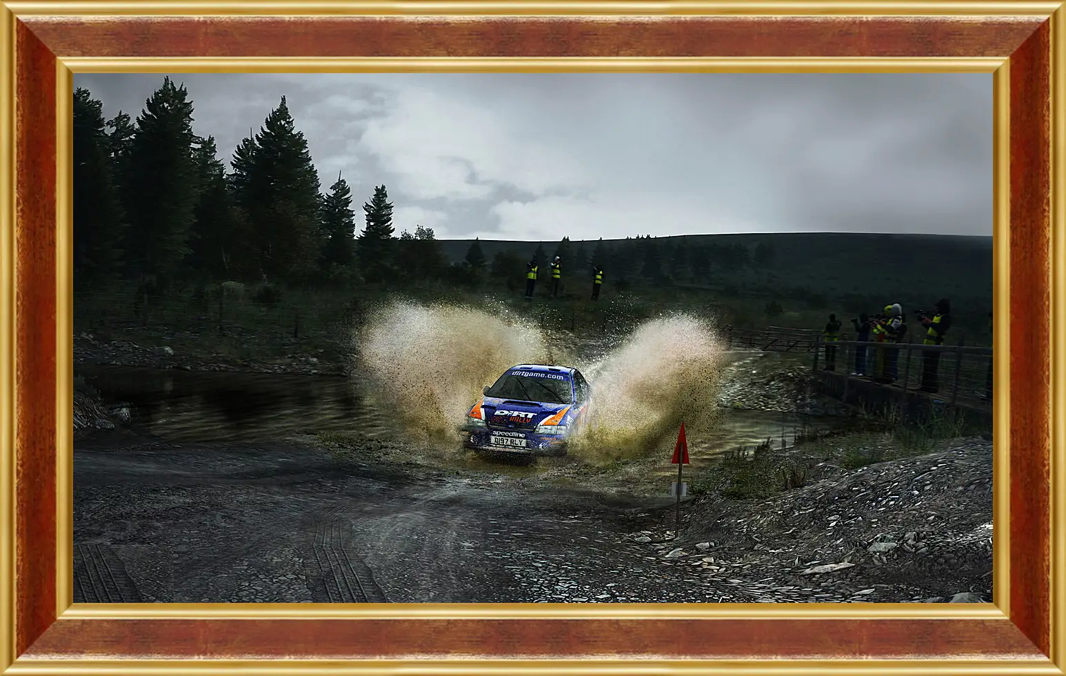 Картина в раме - DiRT Rally
