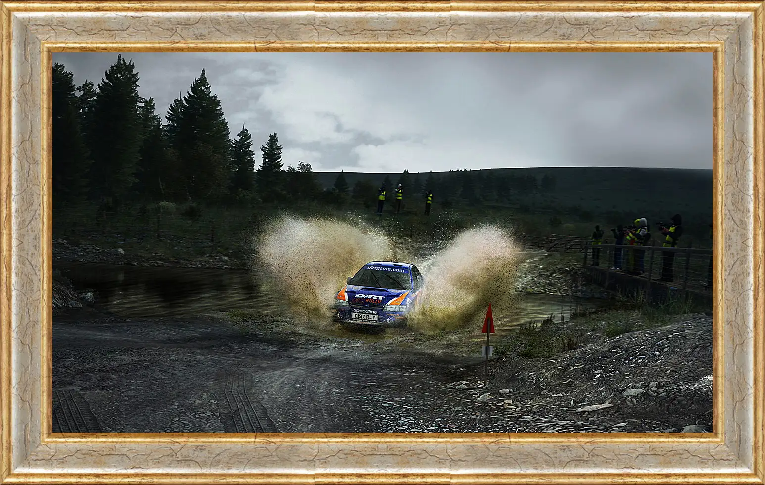 Картина в раме - DiRT Rally
