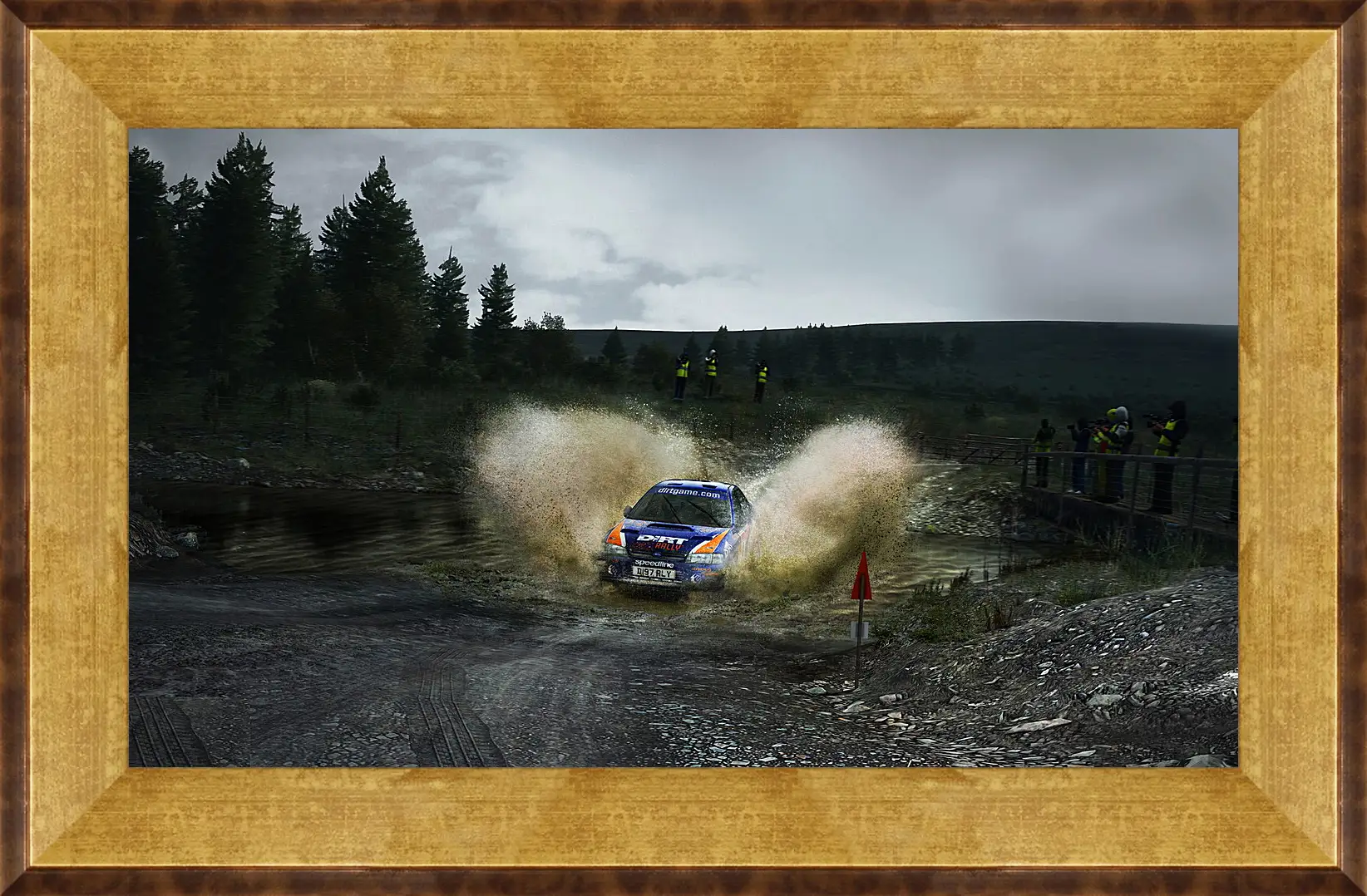 Картина в раме - DiRT Rally
