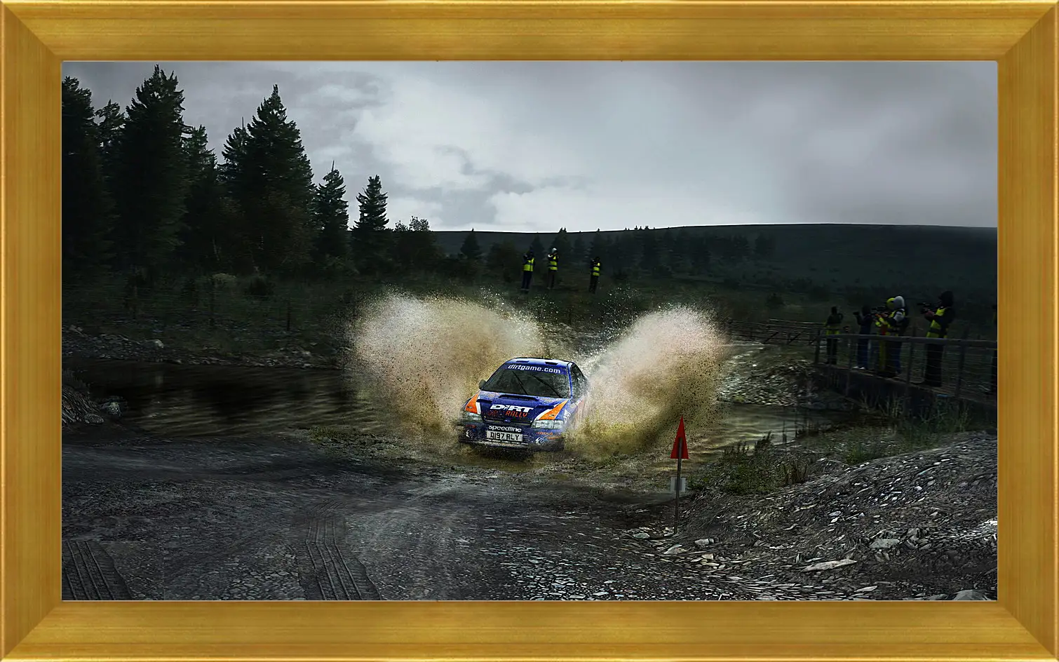 Картина в раме - DiRT Rally
