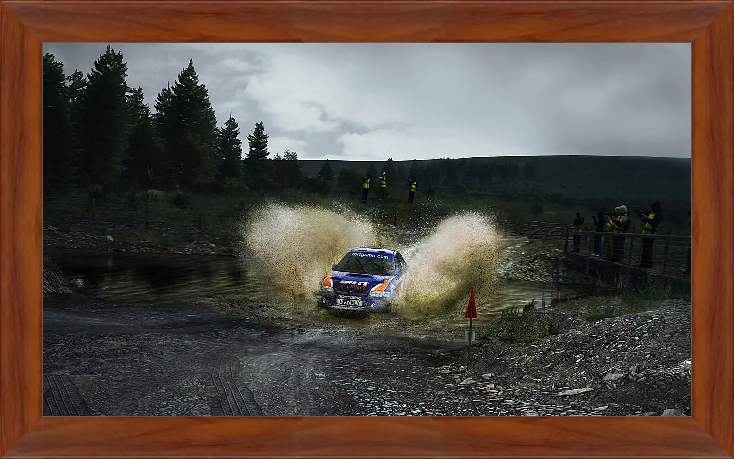 Картина в раме - DiRT Rally
