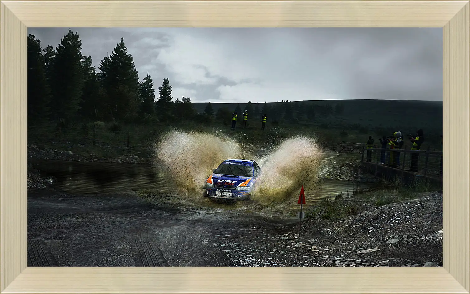 Картина в раме - DiRT Rally
