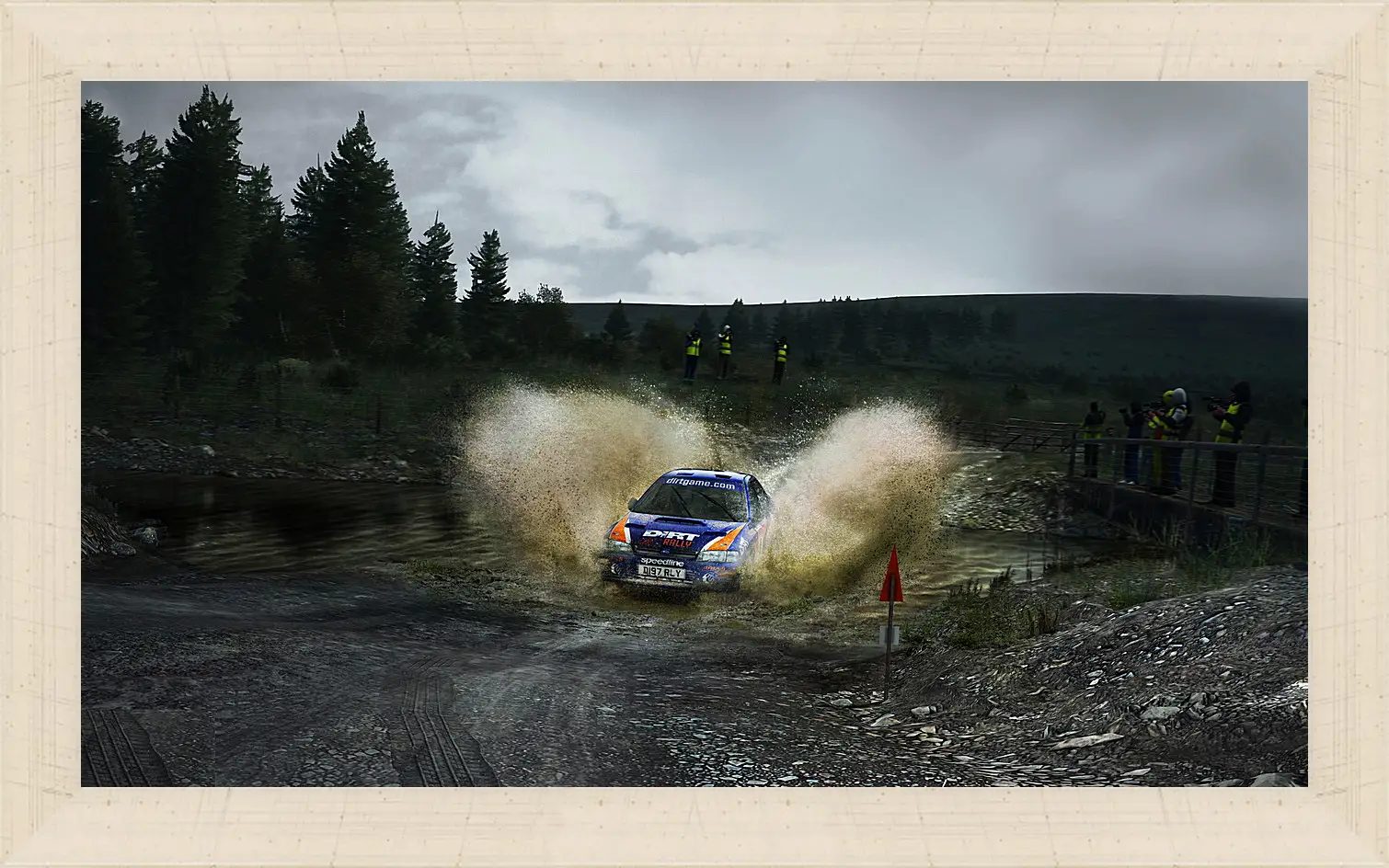 Картина в раме - DiRT Rally
