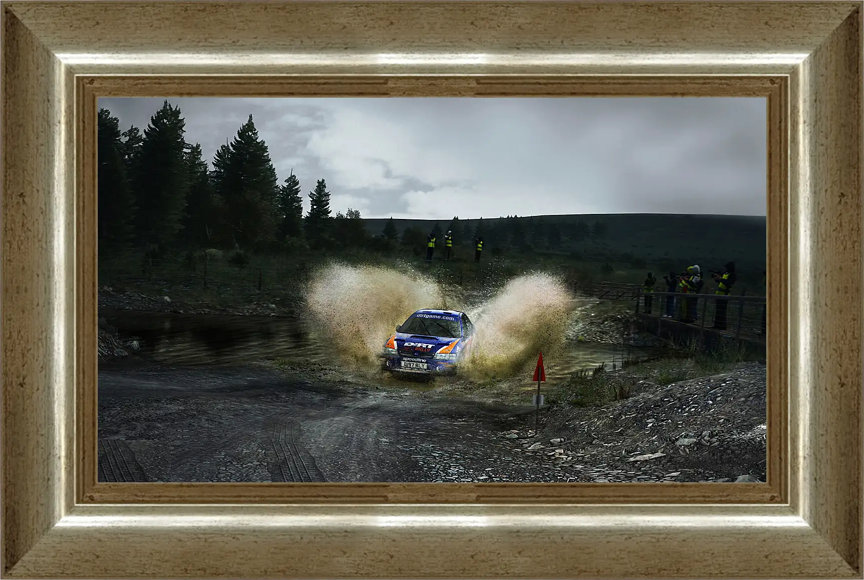 Картина в раме - DiRT Rally
