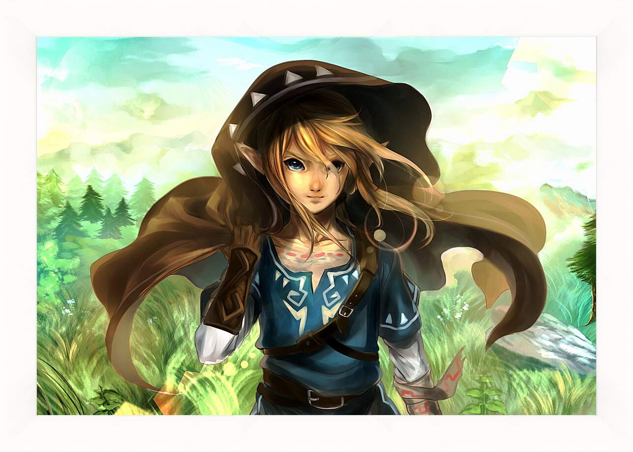 Картина в раме - The Legend Of Zelda Wii U

