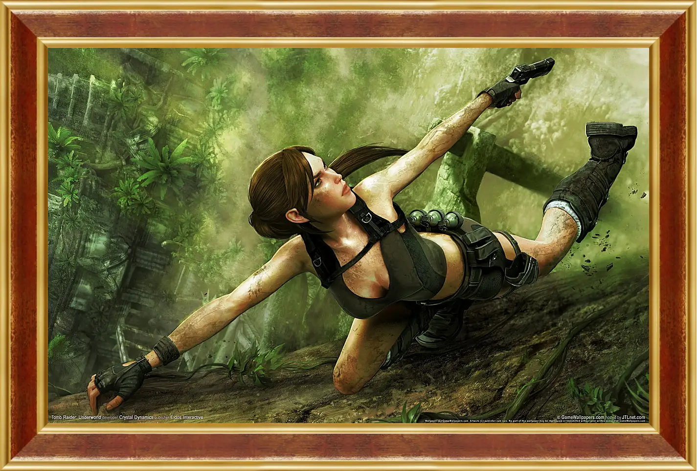 Картина в раме - Tomb Raider