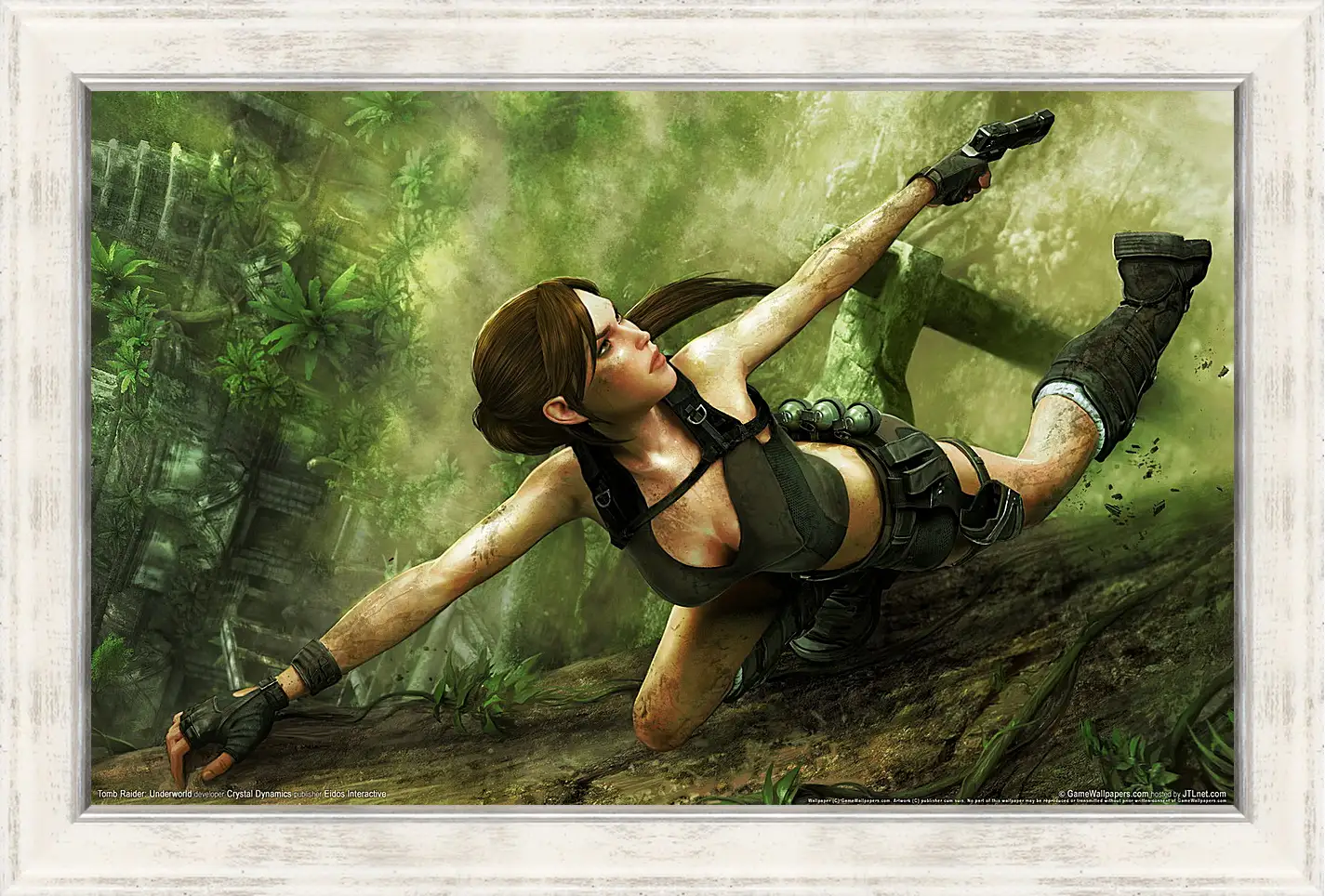 Картина в раме - Tomb Raider