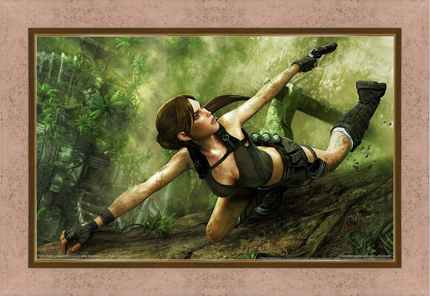 Картина в раме - Tomb Raider