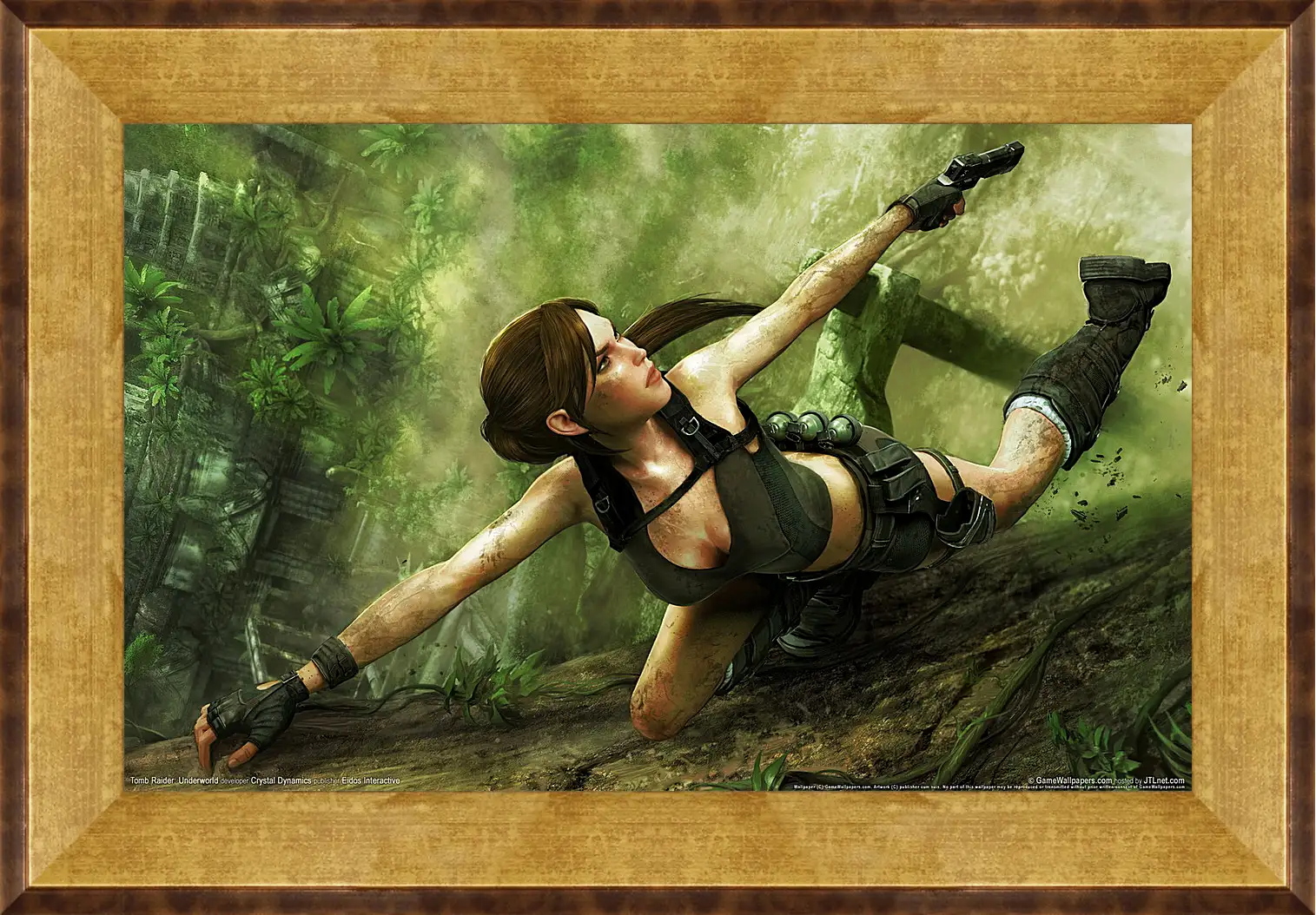 Картина в раме - Tomb Raider