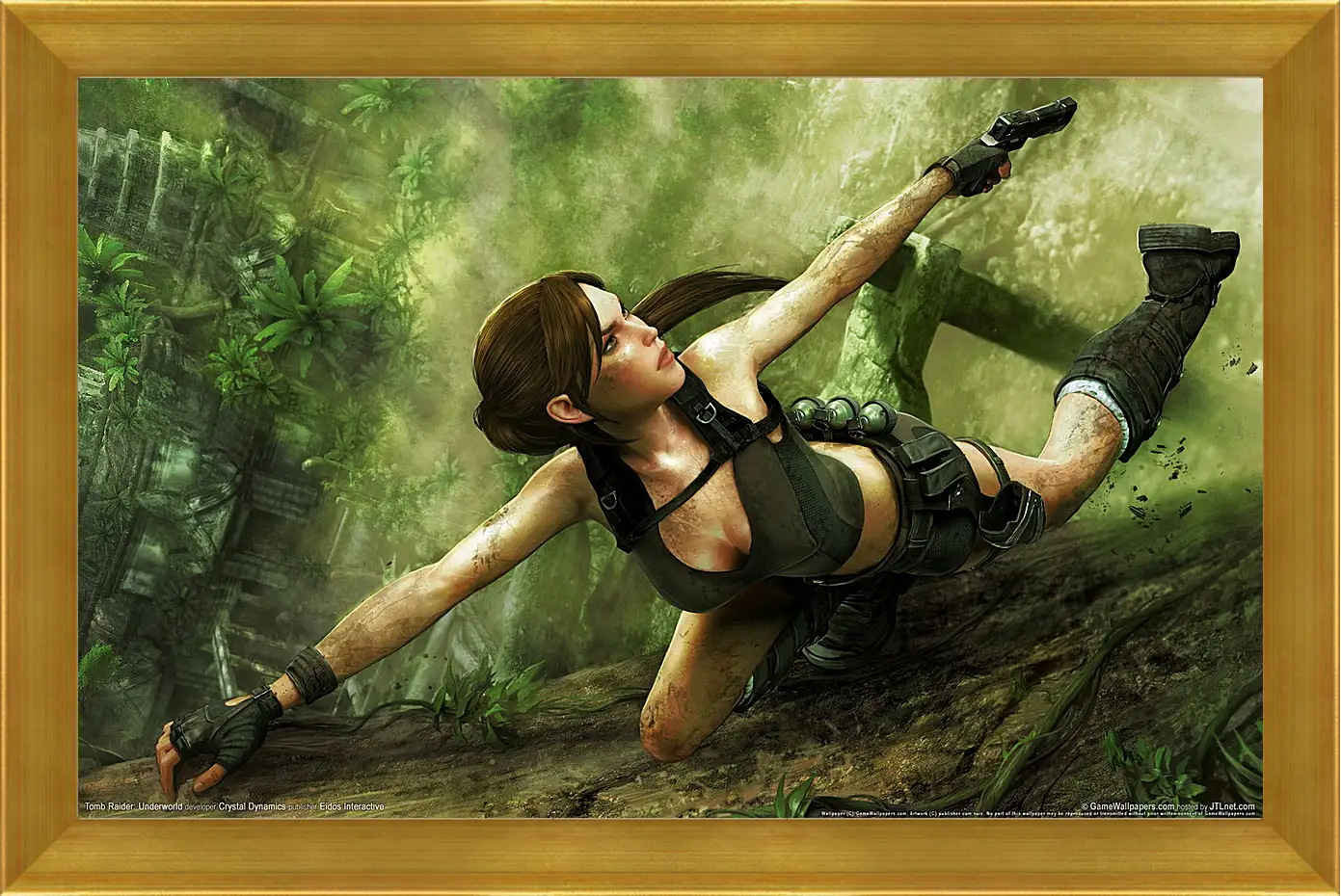 Картина в раме - Tomb Raider