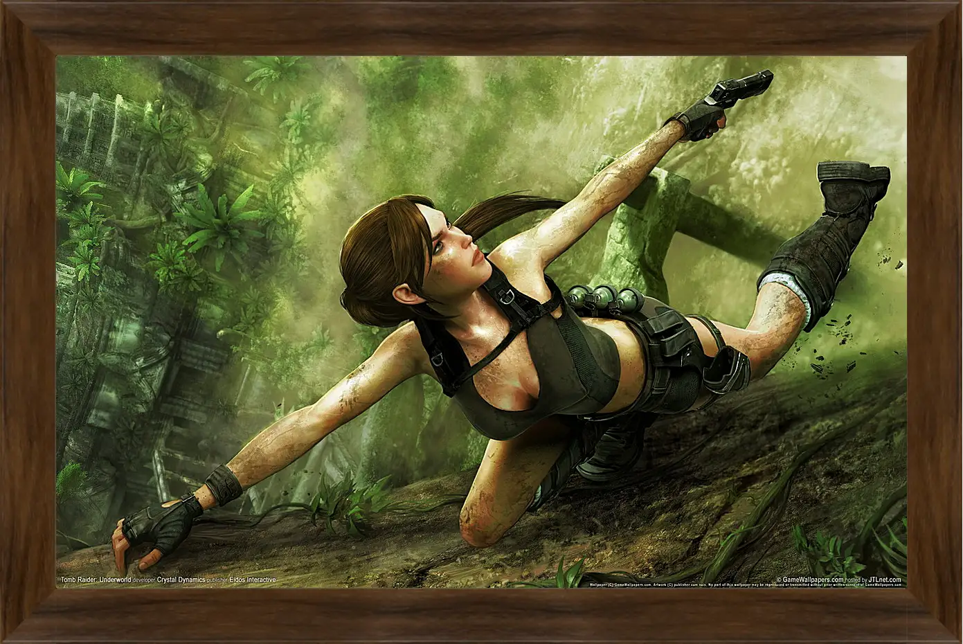 Картина в раме - Tomb Raider