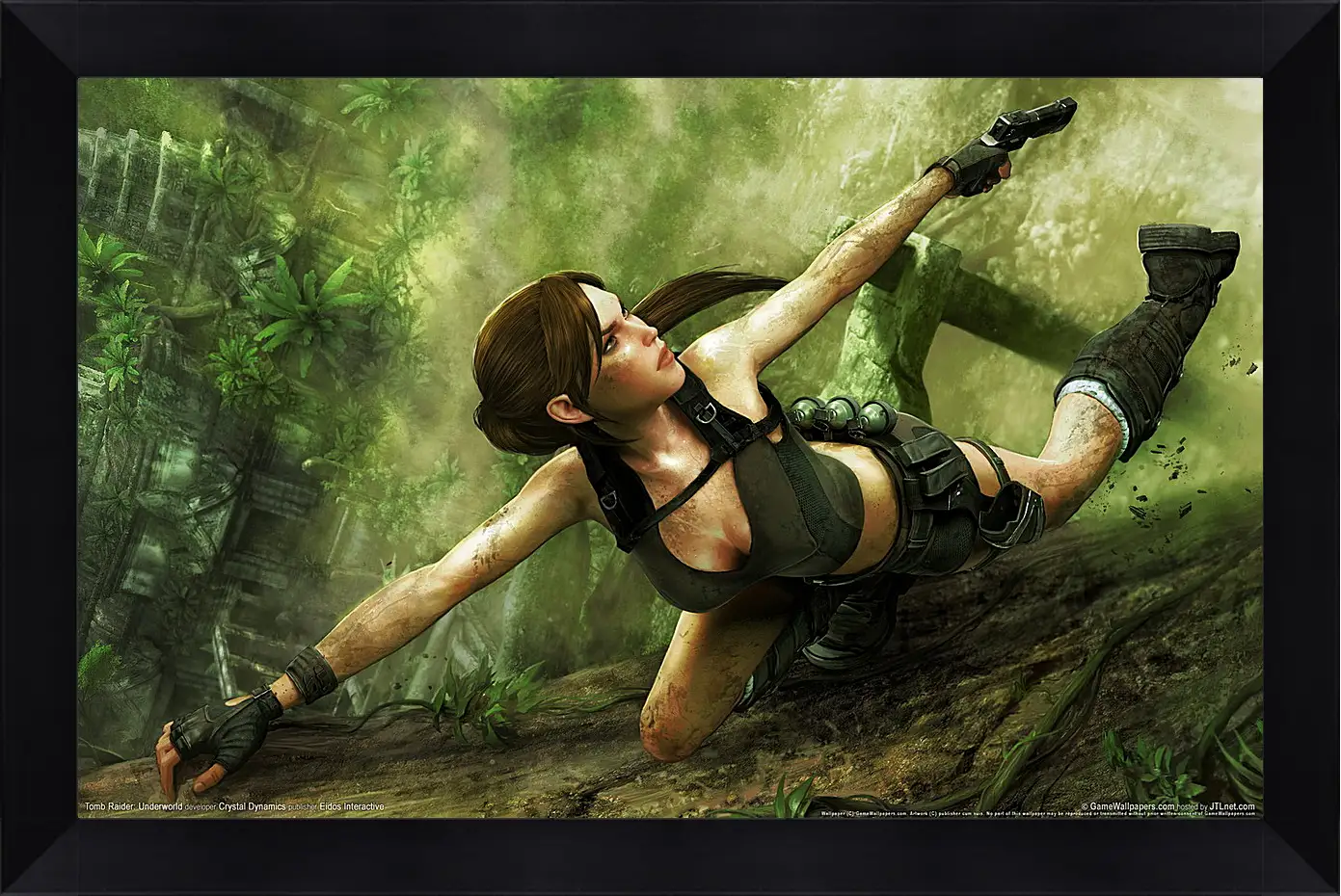 Картина в раме - Tomb Raider