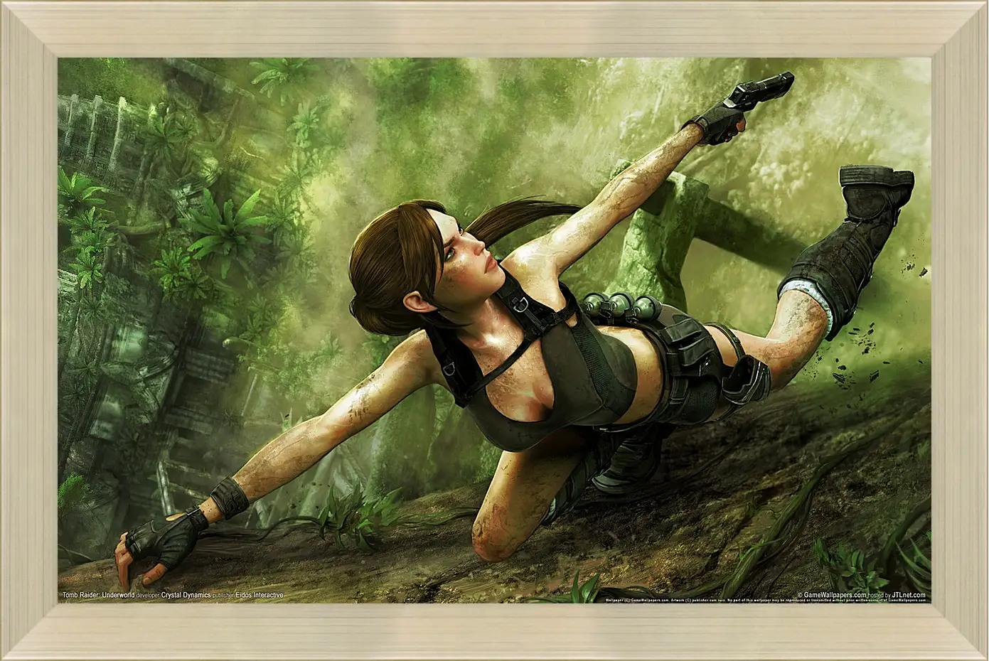 Картина в раме - Tomb Raider