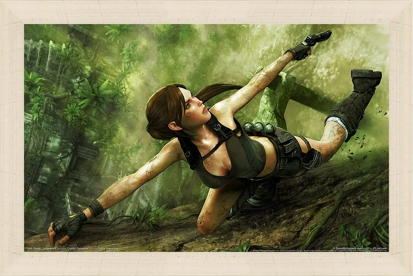 Картина в раме - Tomb Raider