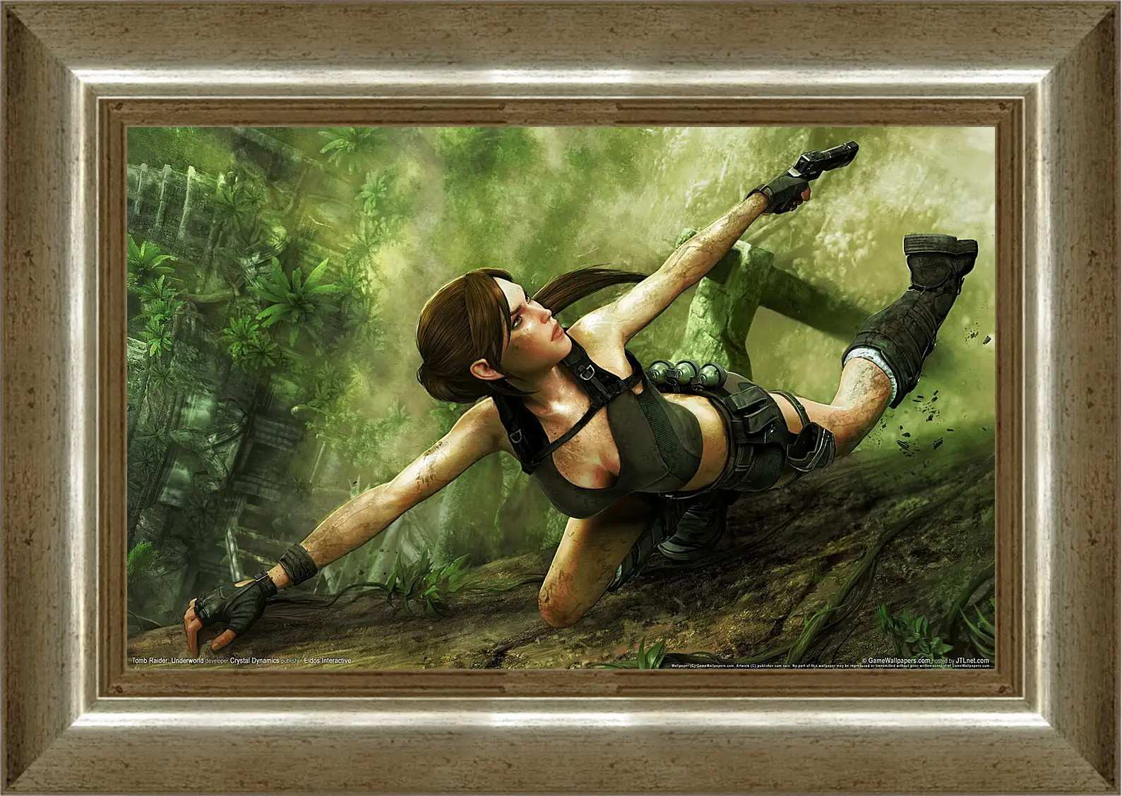 Картина в раме - Tomb Raider