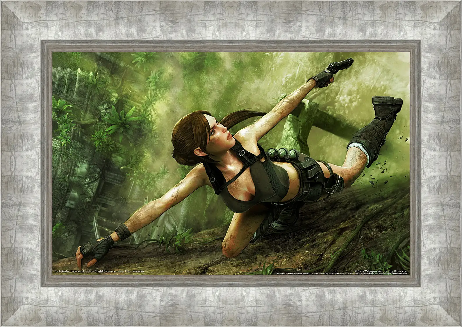 Картина в раме - Tomb Raider