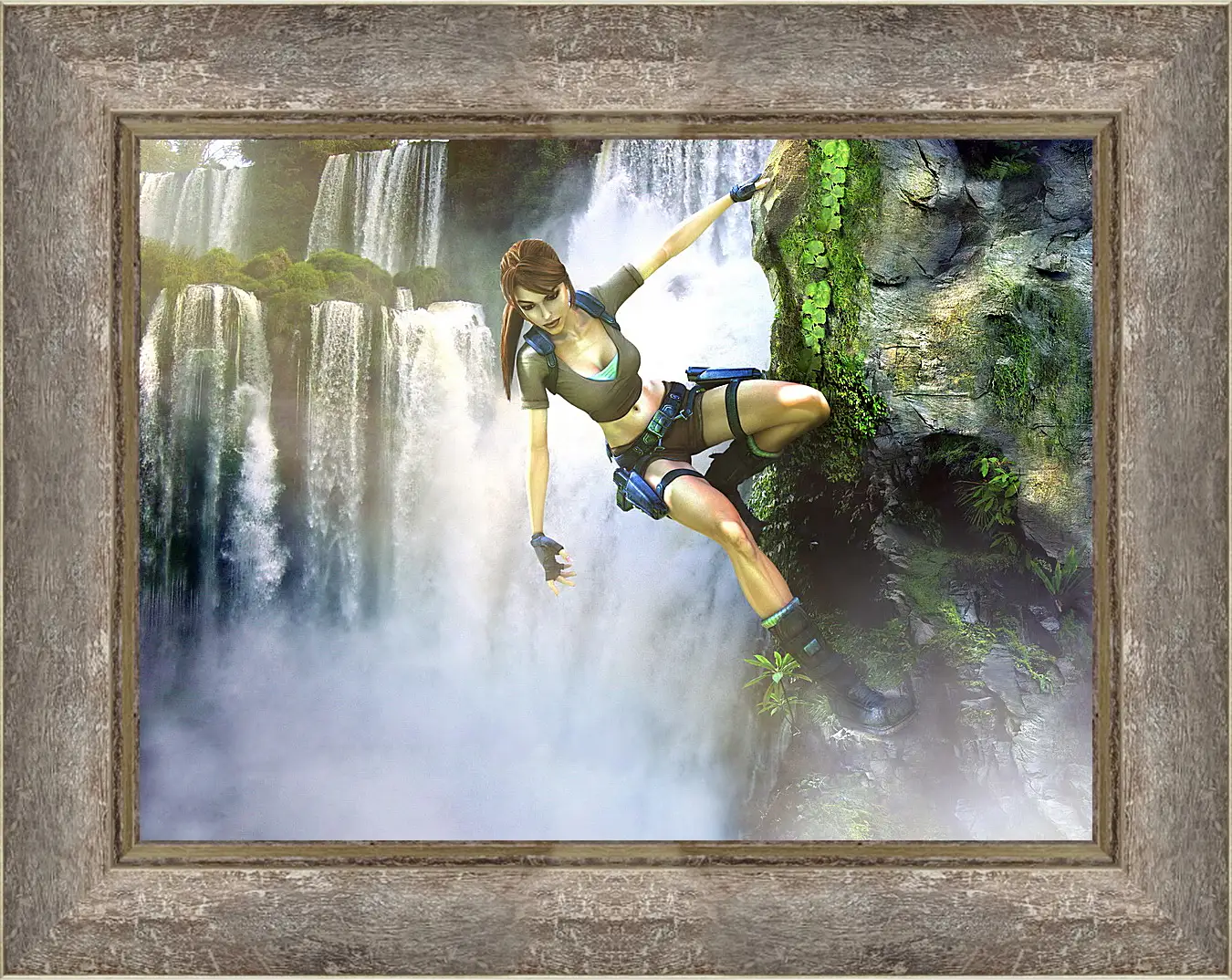 Картина в раме - Tomb Raider