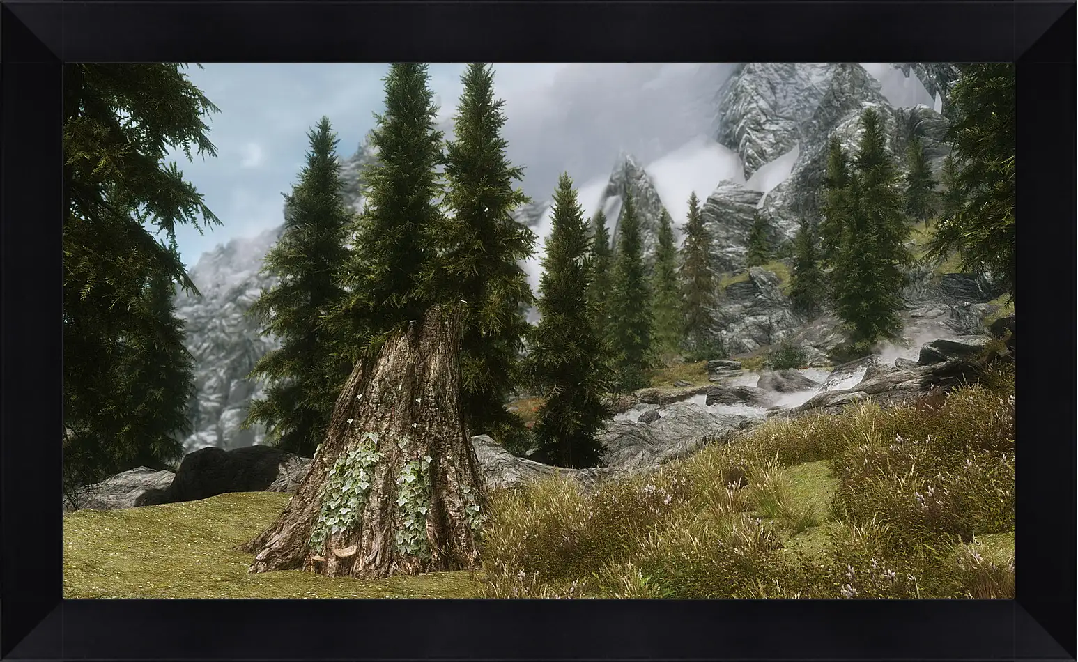 Картина в раме - The Elder Scrolls V: Skyrim
