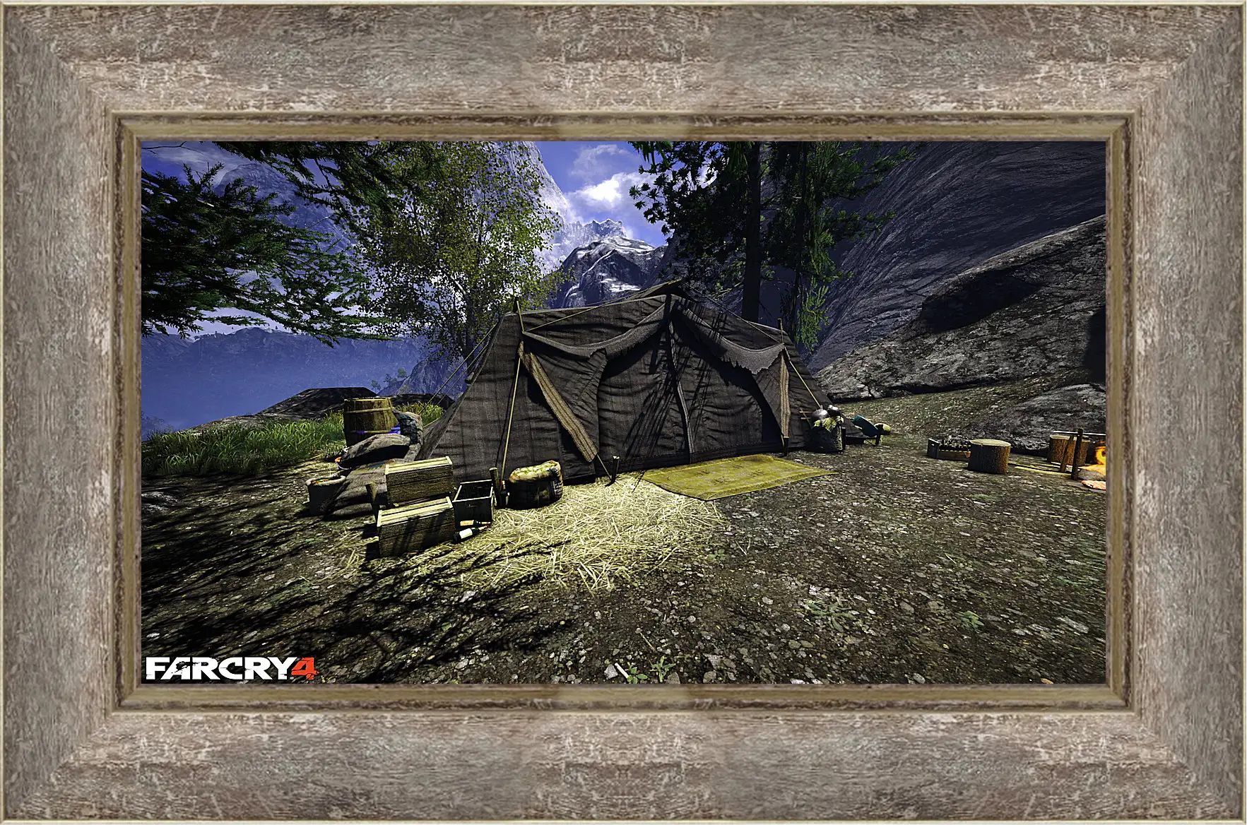 Картина в раме - Far Cry 4