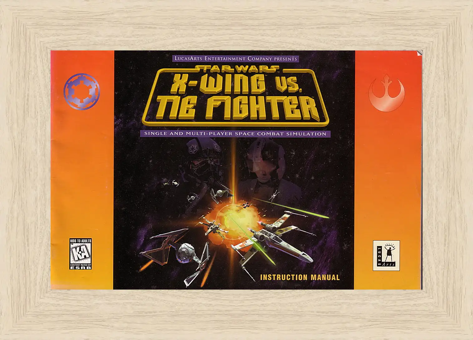 Картина в раме - Star Wars: X-Wing Vs. TIE Fighter