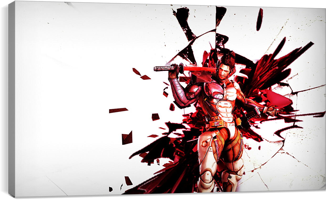 Постер и плакат - Metal Gear Rising