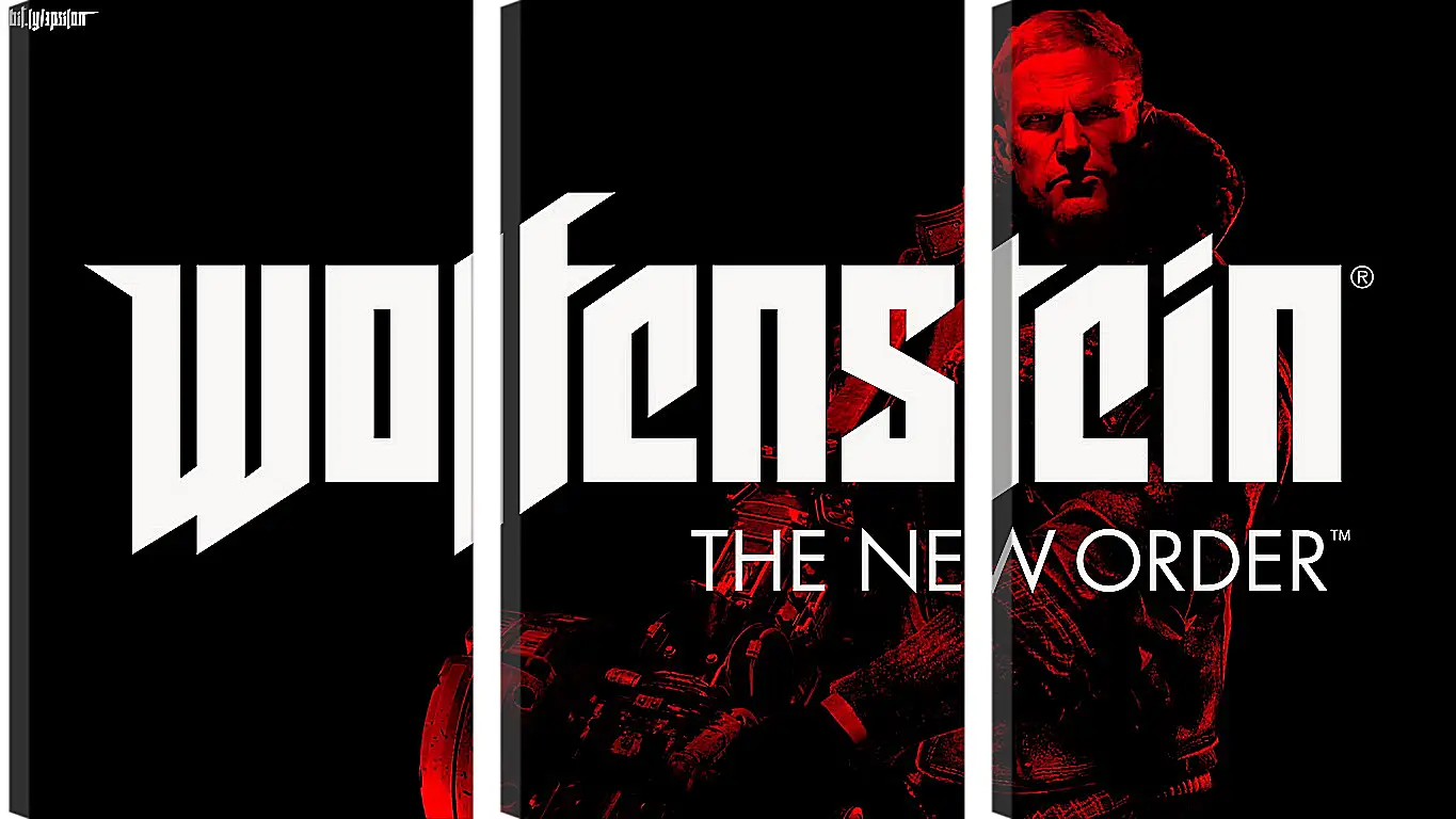 Модульная картина - Wolfenstein: The New Order
