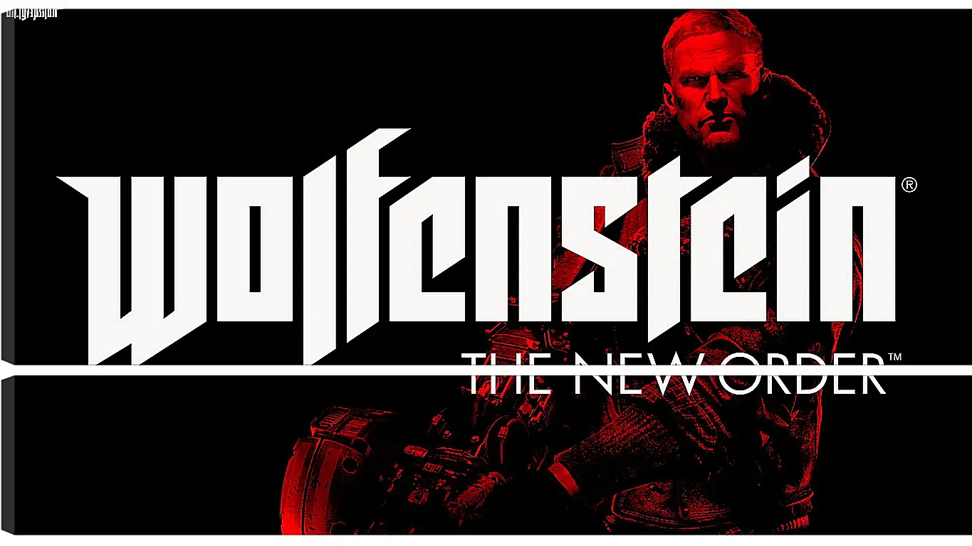 Модульная картина - Wolfenstein: The New Order
