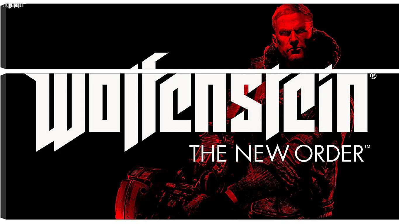 Модульная картина - Wolfenstein: The New Order
