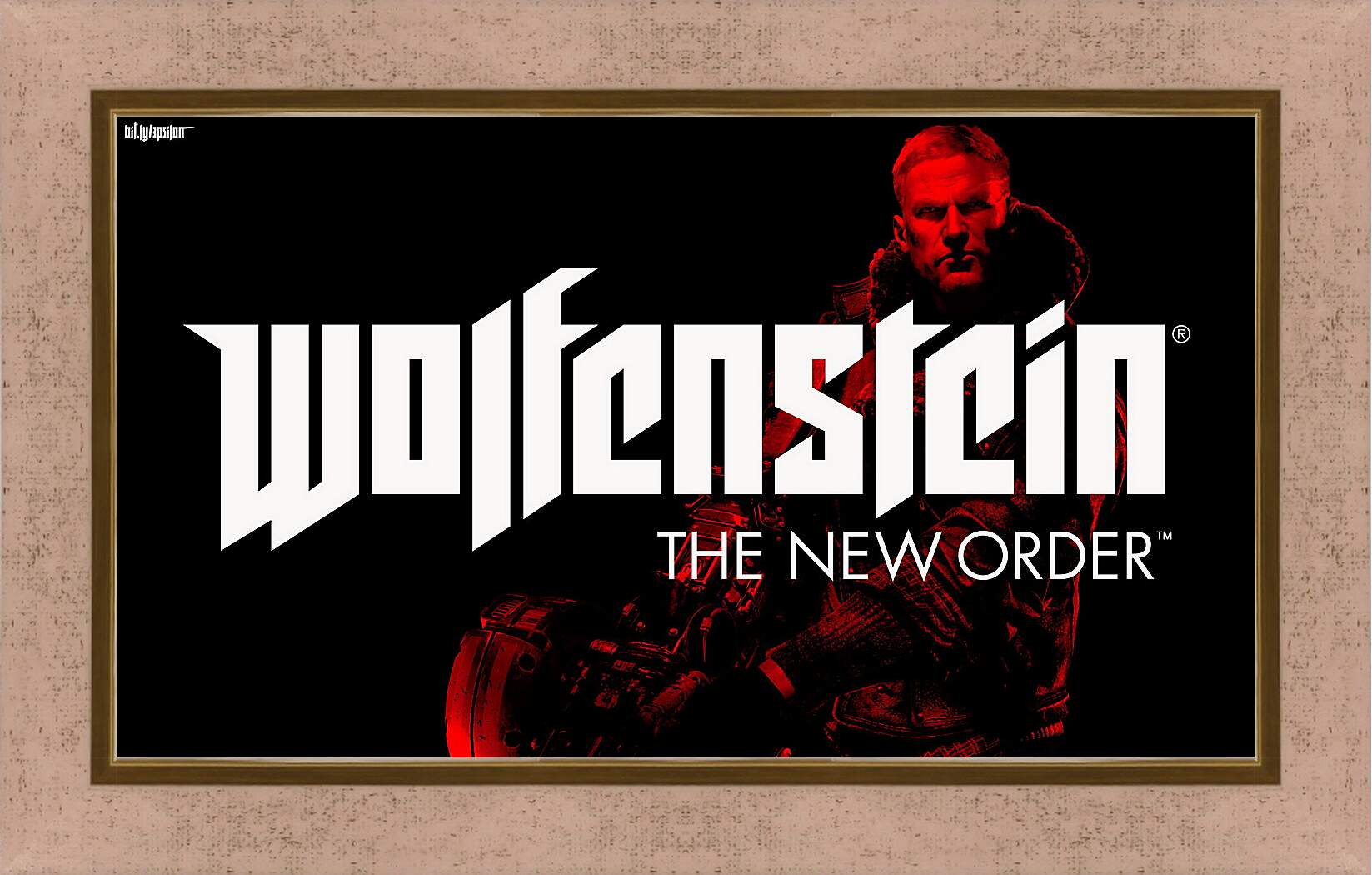 Картина в раме - Wolfenstein: The New Order
