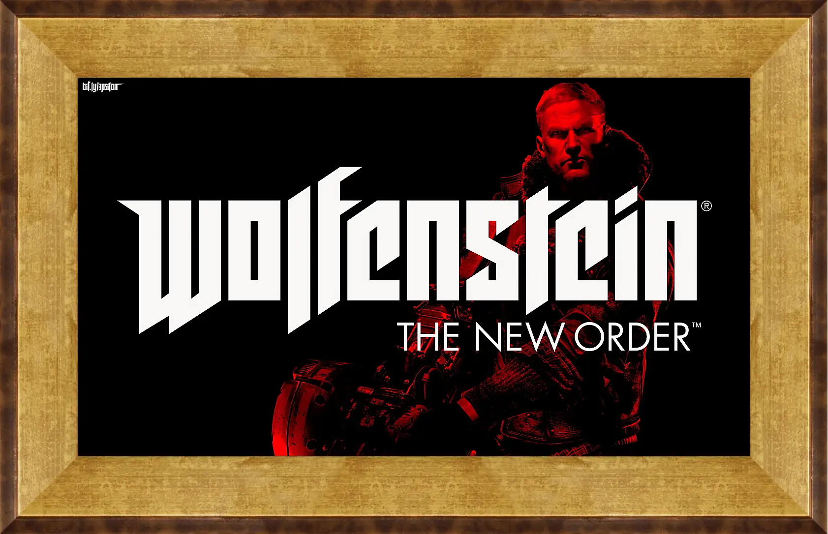 Картина в раме - Wolfenstein: The New Order
