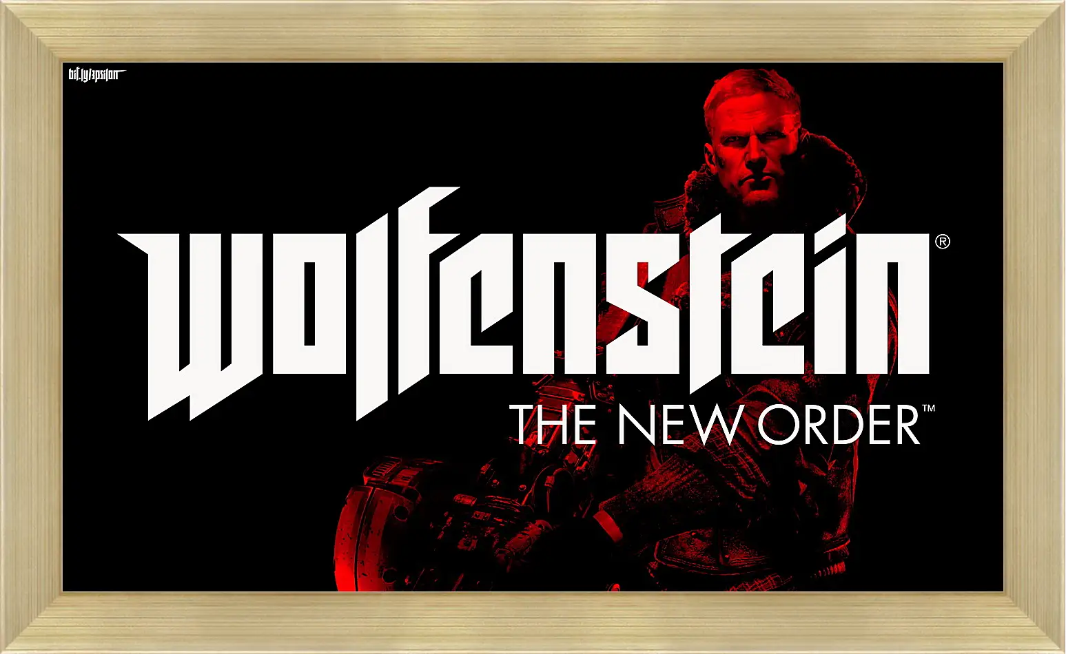 Картина в раме - Wolfenstein: The New Order
