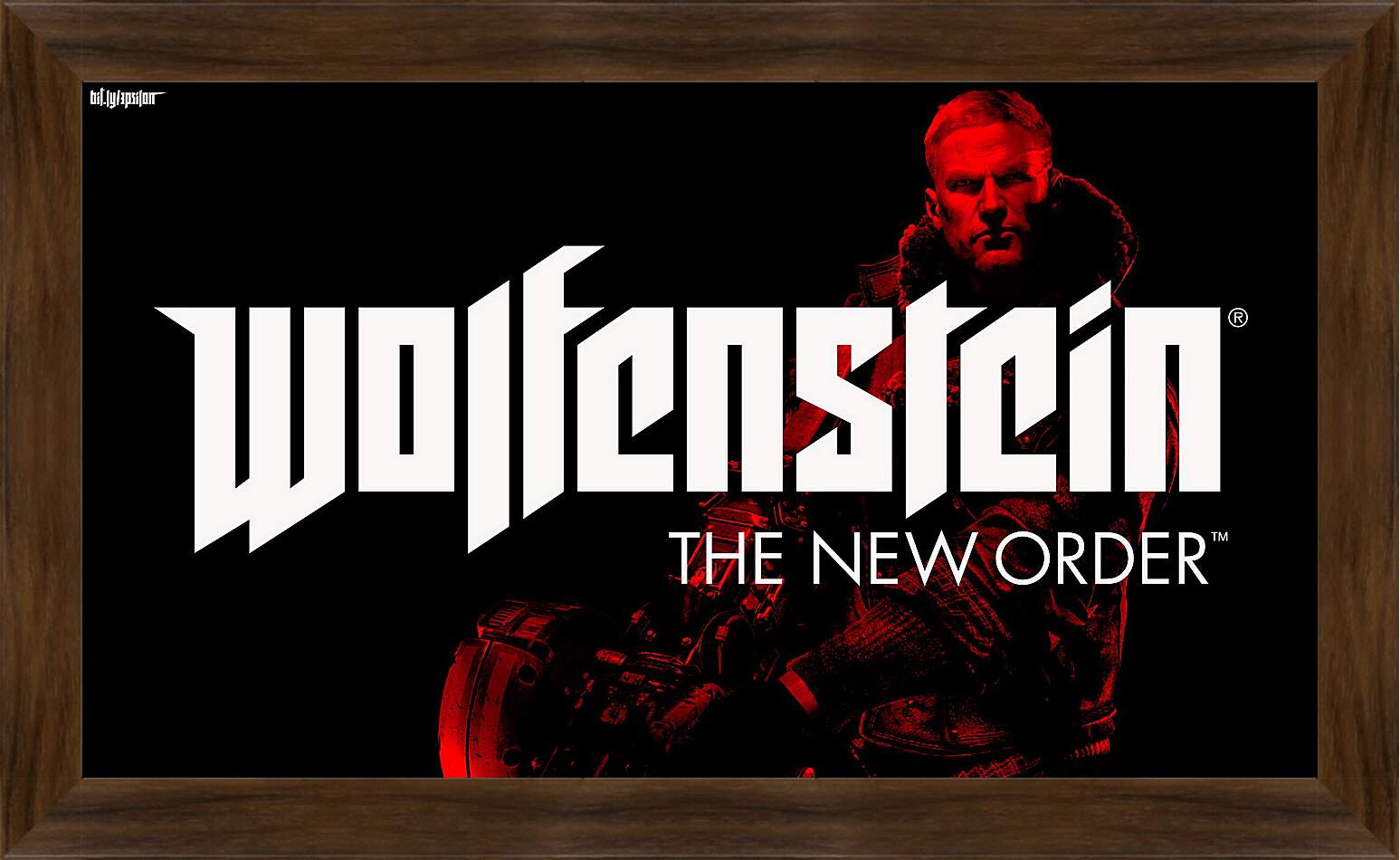 Картина в раме - Wolfenstein: The New Order
