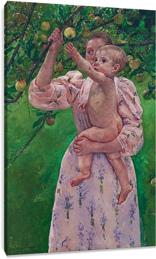 Постер и плакат - Child Picking a Fruit. Кэссетт (Кассатт) Мэри Стивенсон