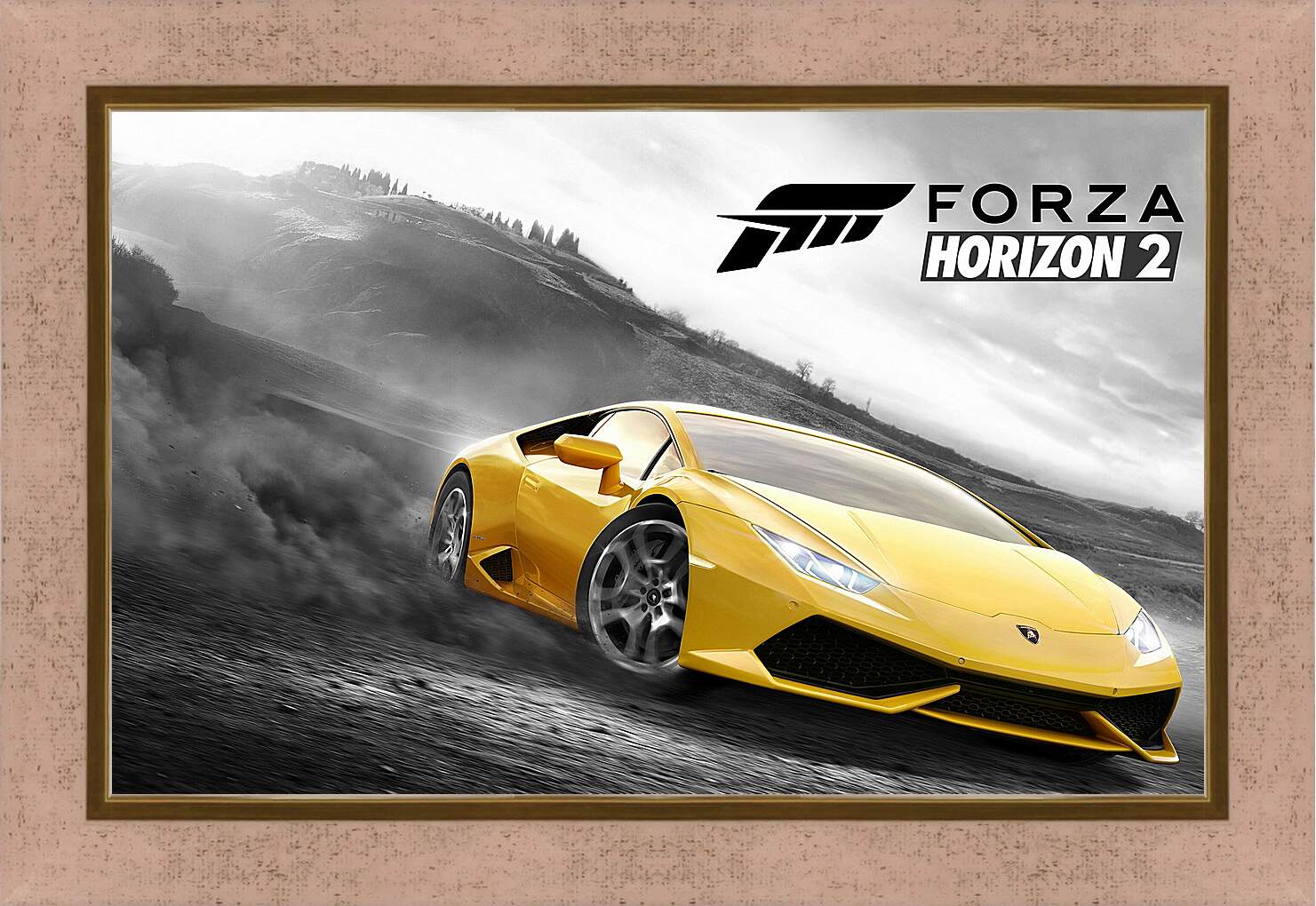 Картина в раме - Forza Horizon 2
