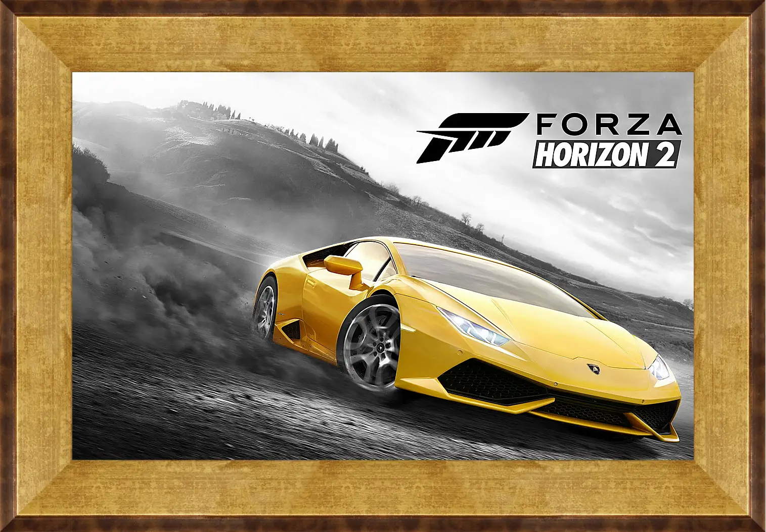 Картина в раме - Forza Horizon 2
