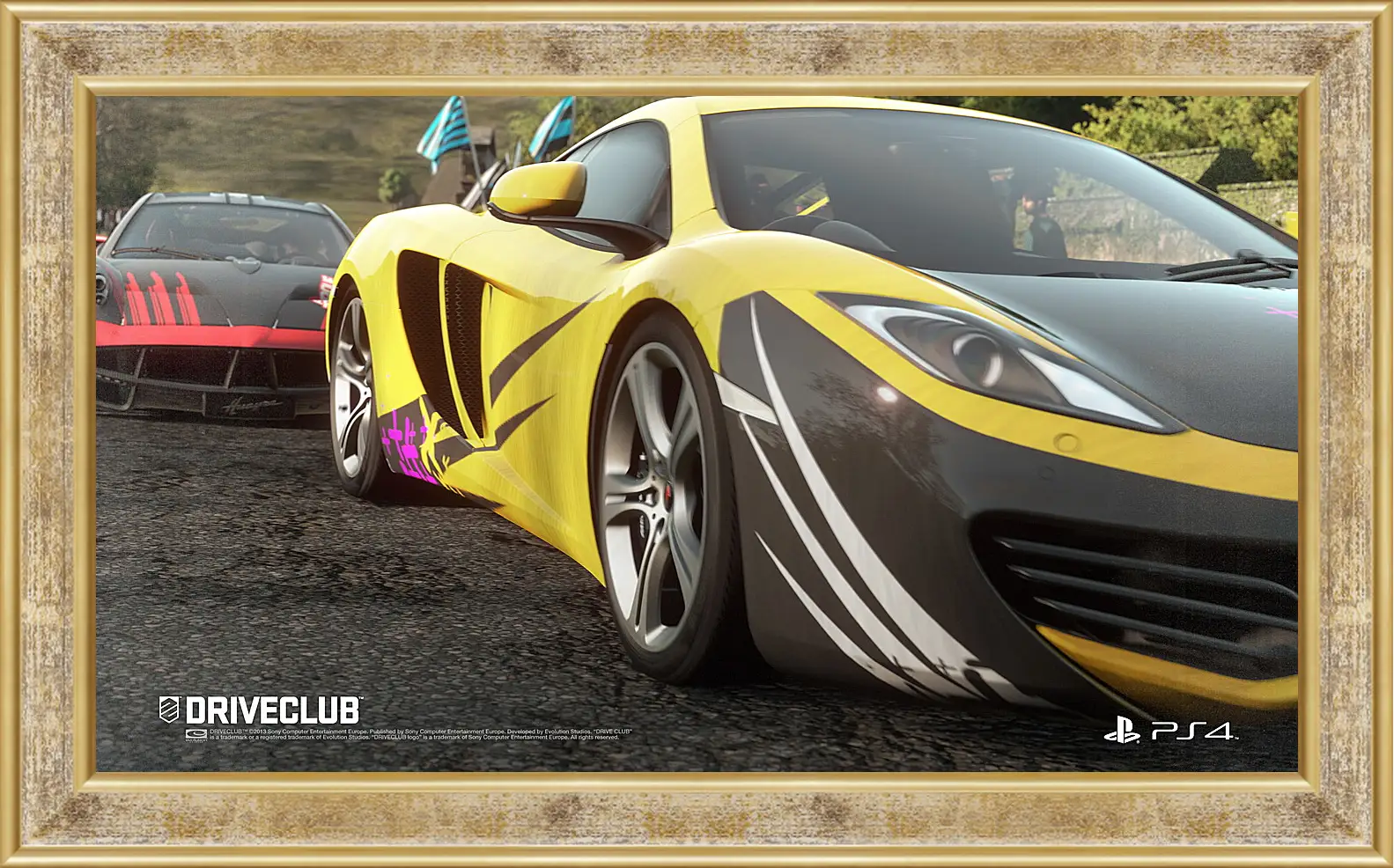 Картина в раме - Driveclub
