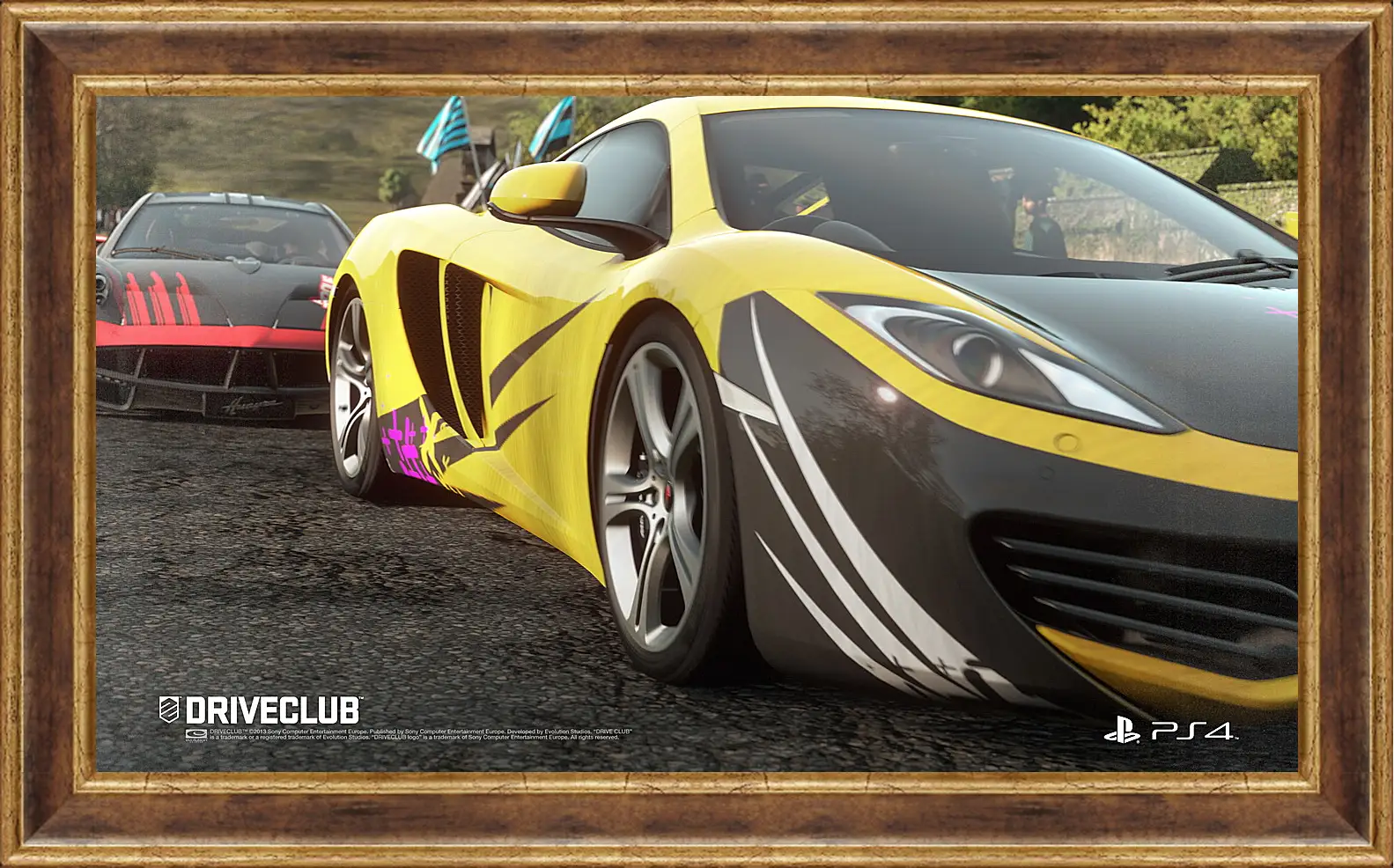 Картина в раме - Driveclub
