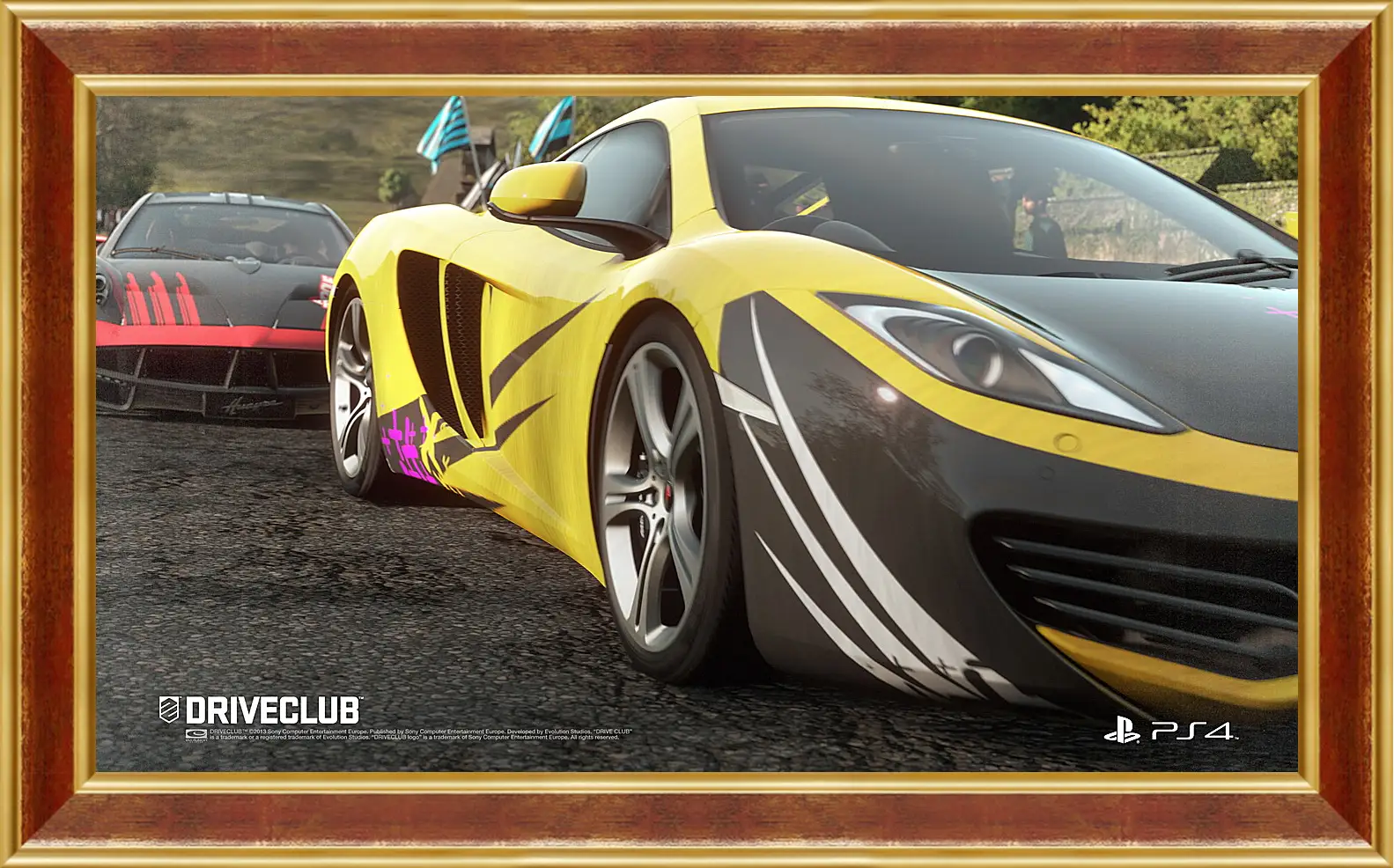 Картина в раме - Driveclub
