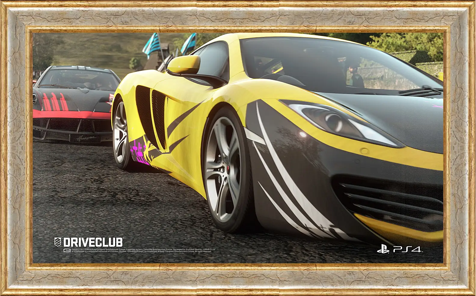 Картина в раме - Driveclub
