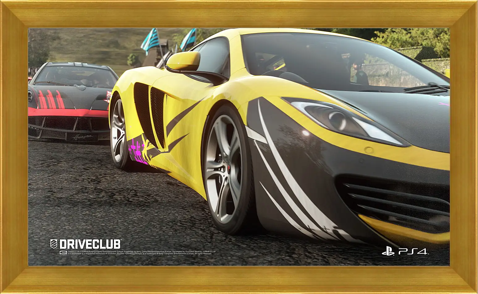 Картина в раме - Driveclub
