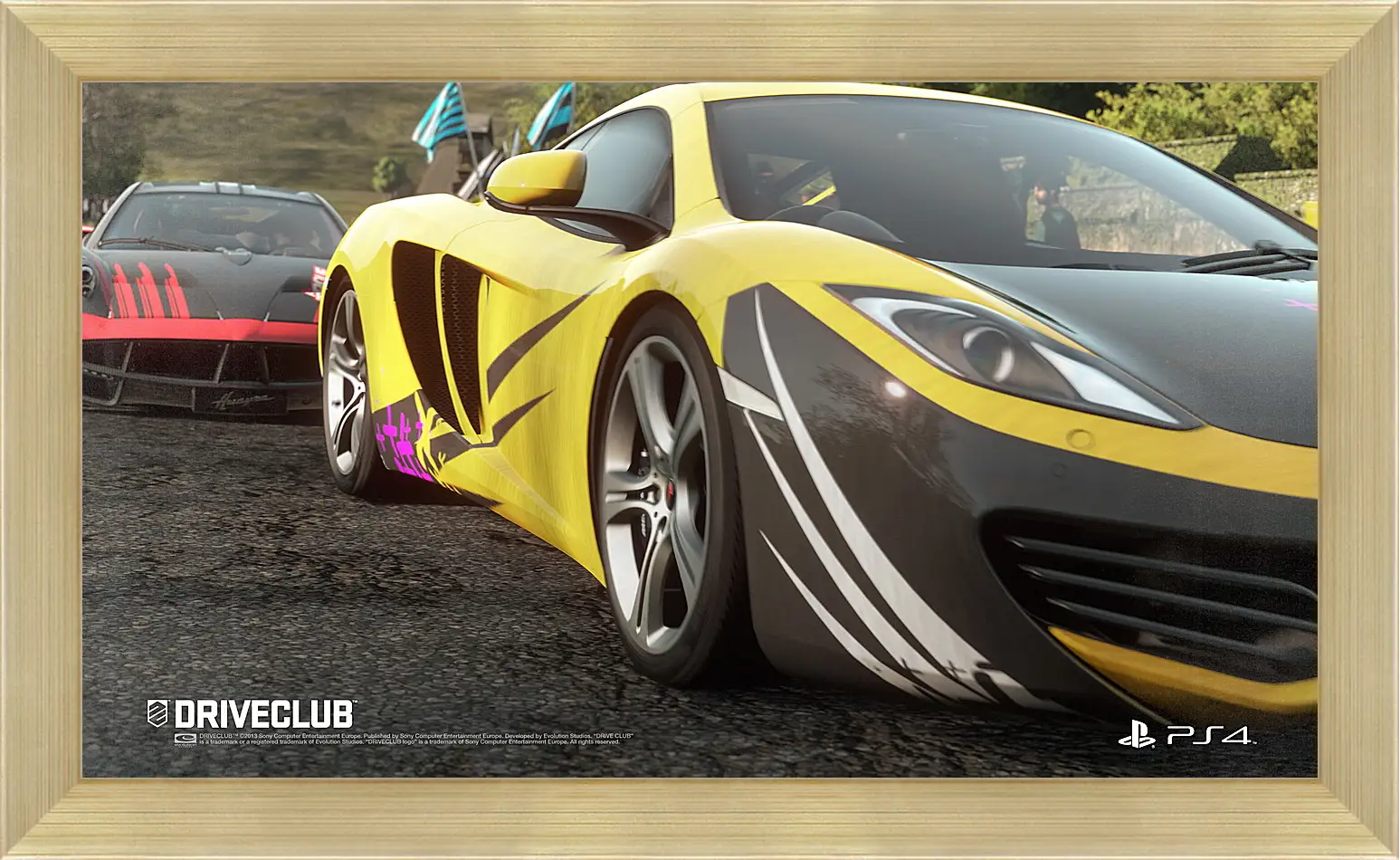 Картина в раме - Driveclub
