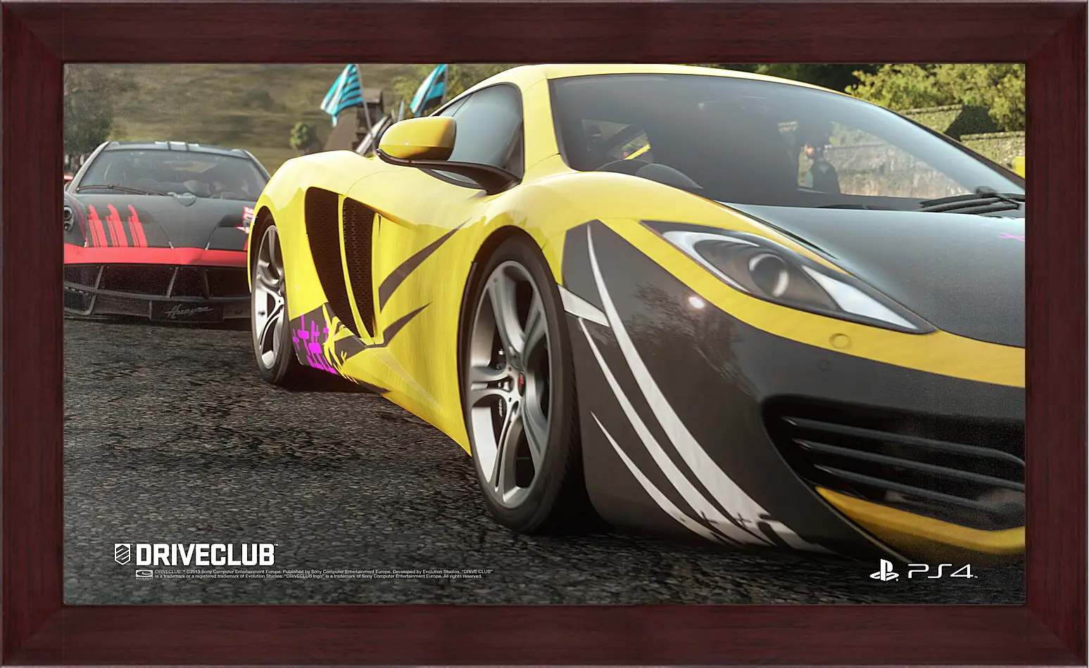 Картина в раме - Driveclub
