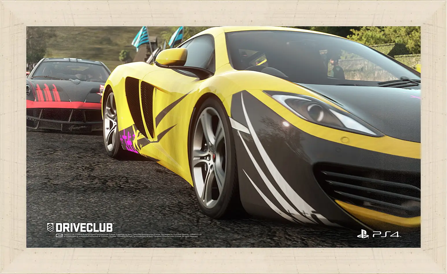 Картина в раме - Driveclub
