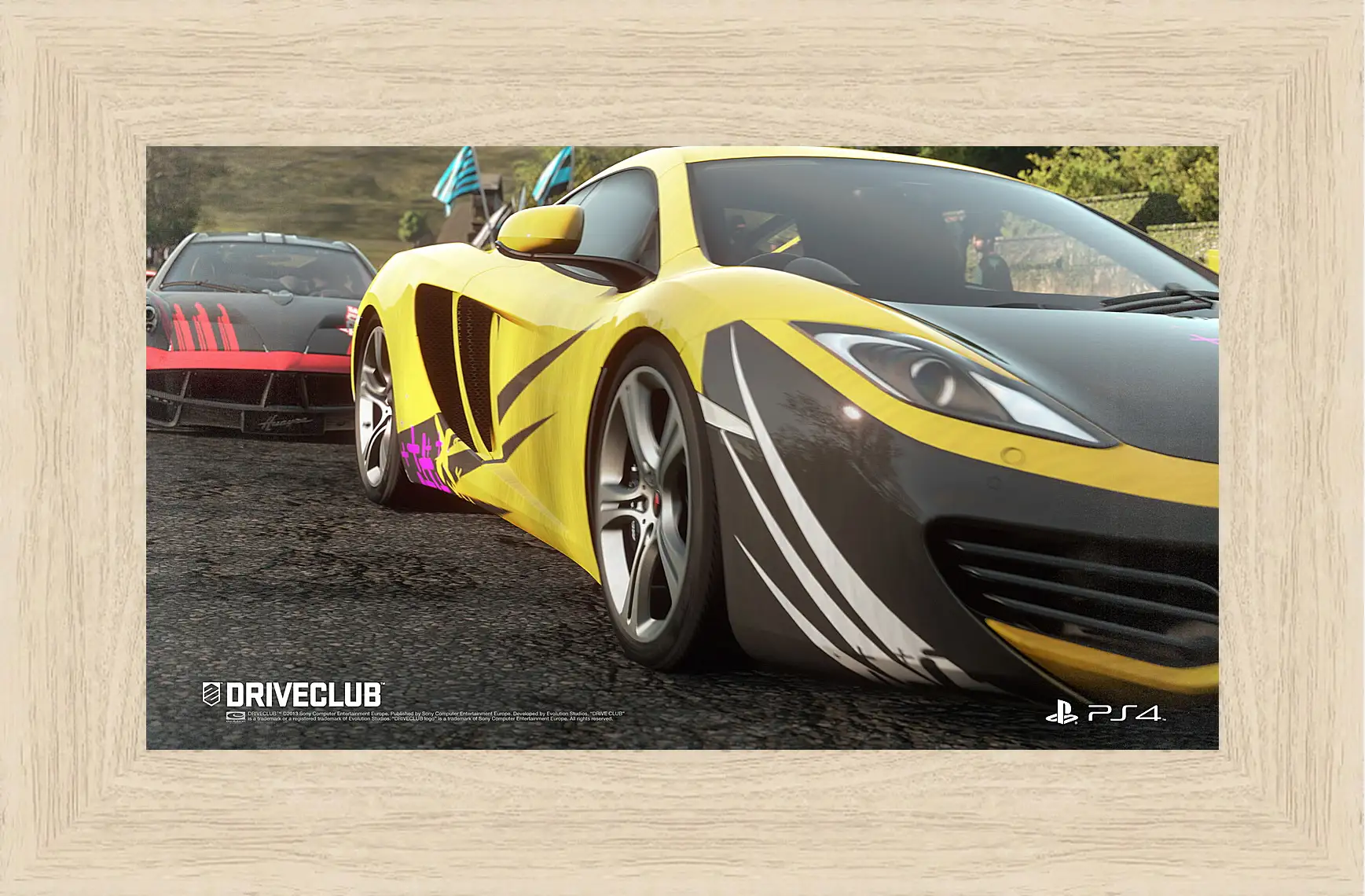 Картина в раме - Driveclub
