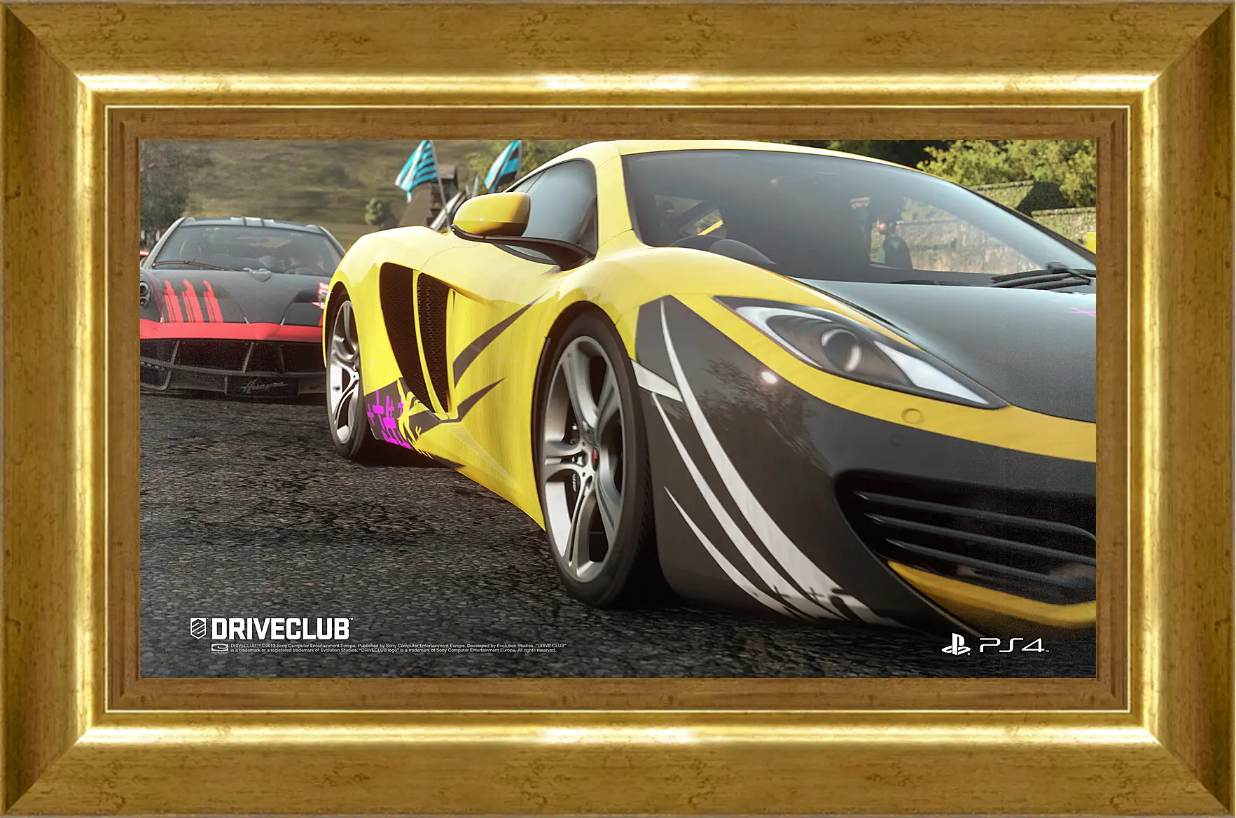 Картина в раме - Driveclub
