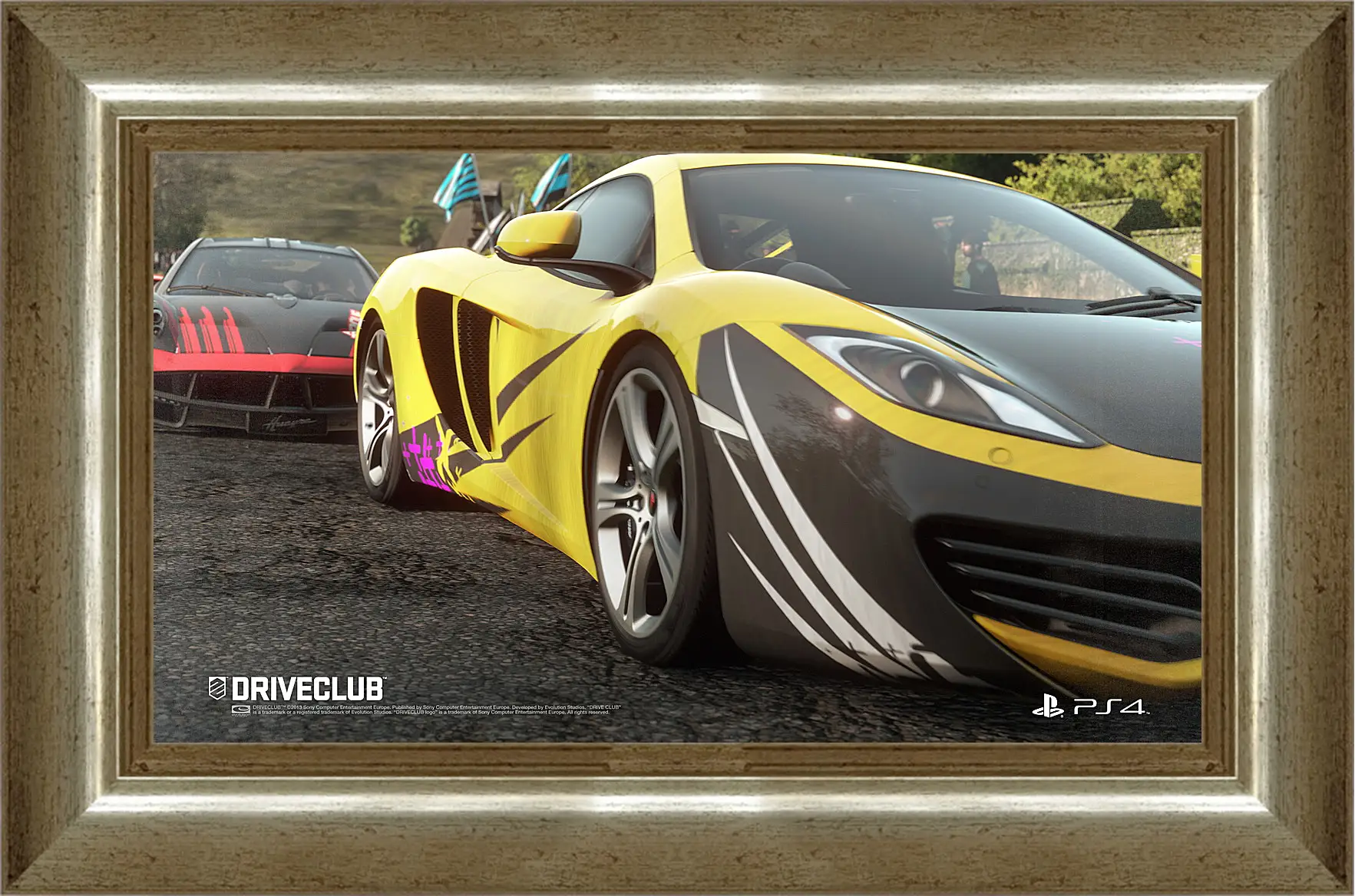 Картина в раме - Driveclub
