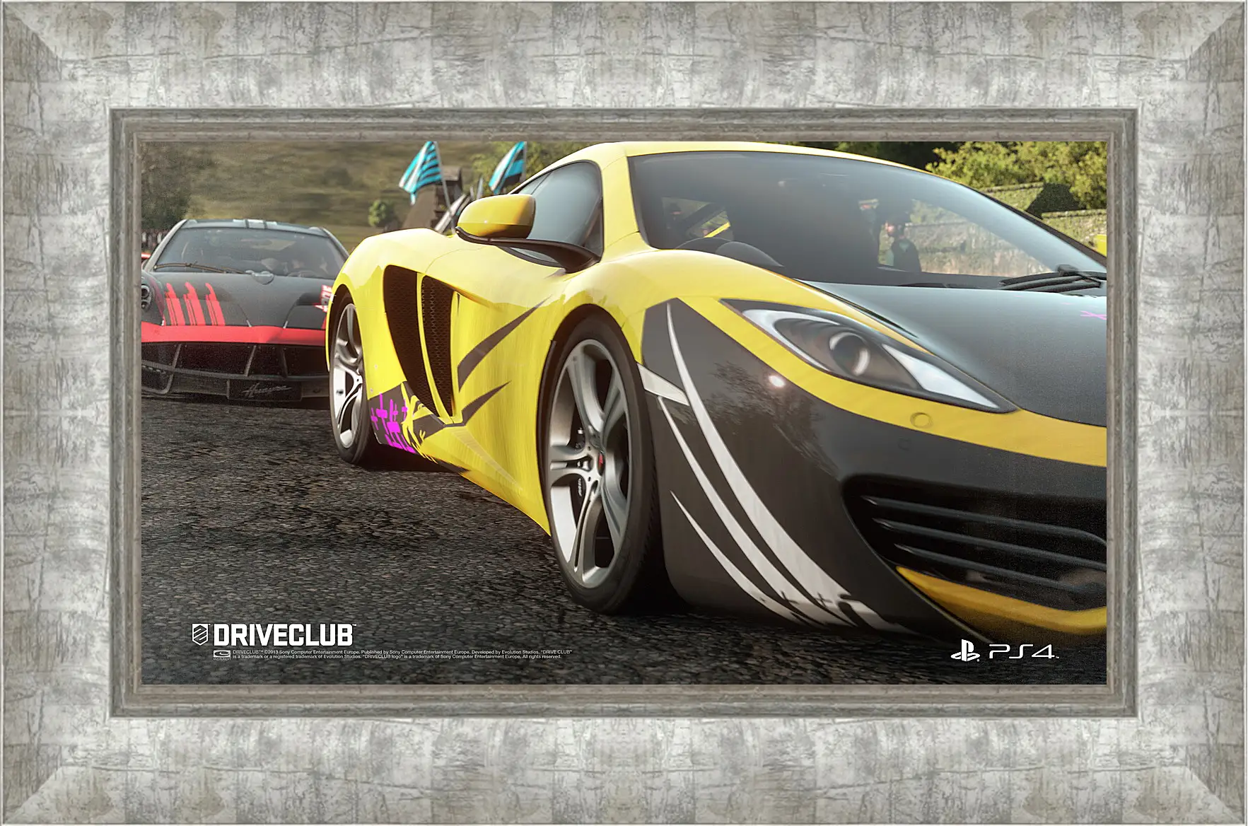 Картина в раме - Driveclub
