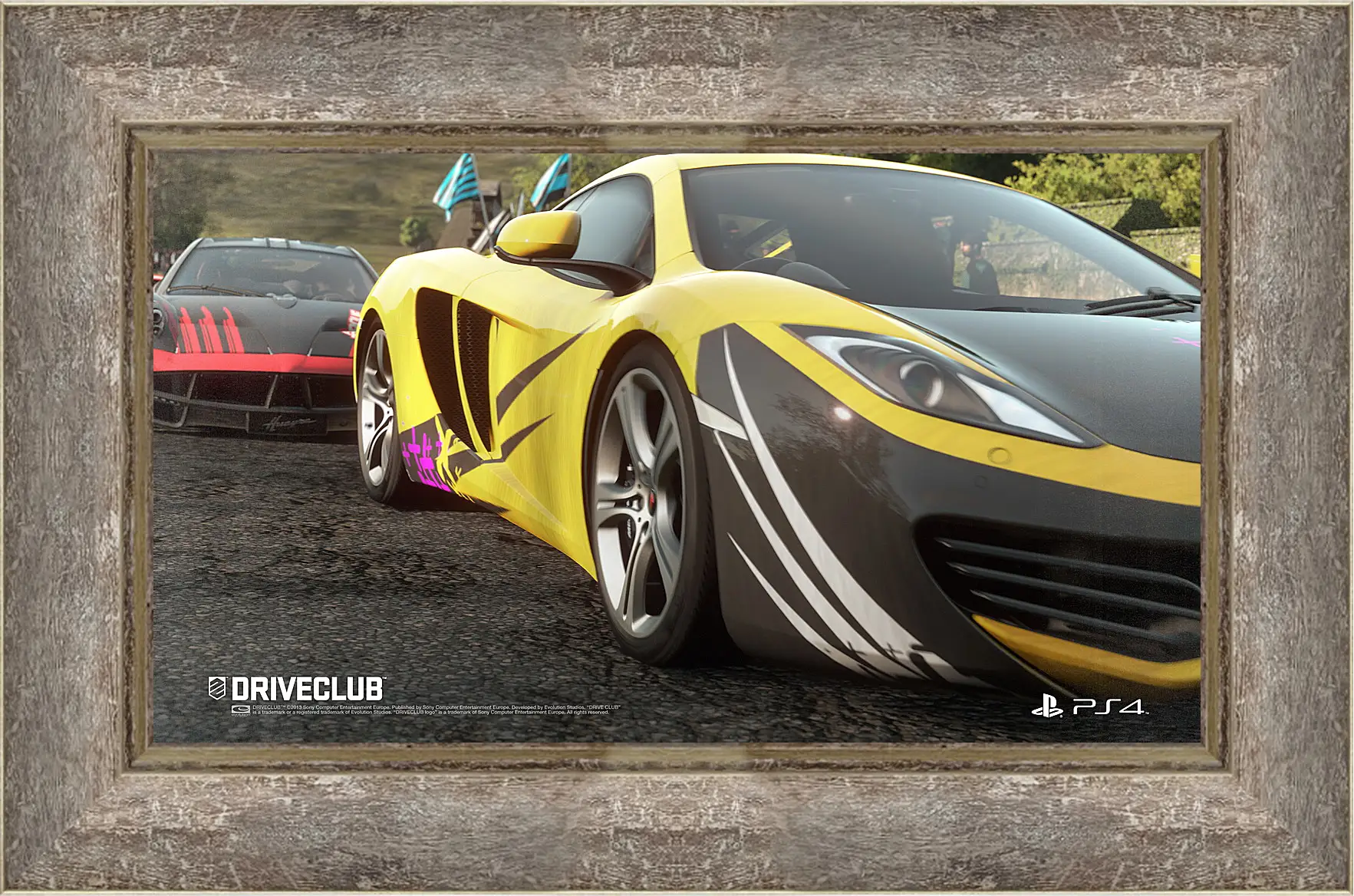 Картина в раме - Driveclub
