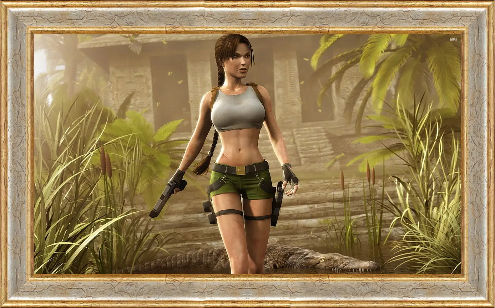 Картина в раме - Tomb Raider